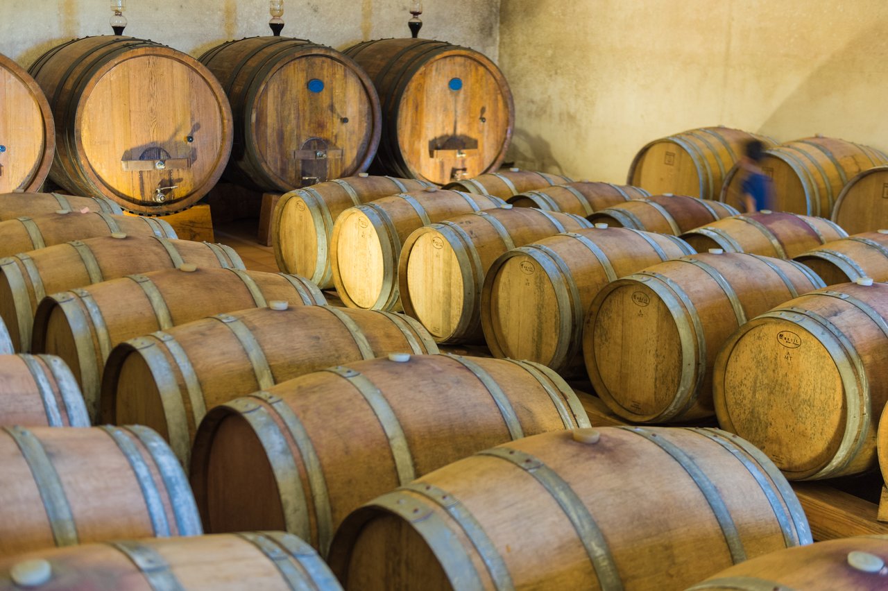 A wine cellar with many wooden barrels.