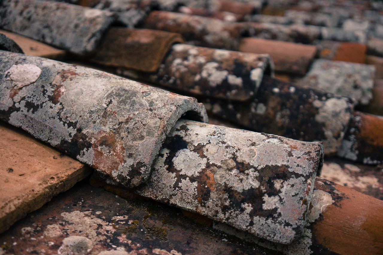 Close-up of old terracotta roof tiles covered in patches of moss and lichen.