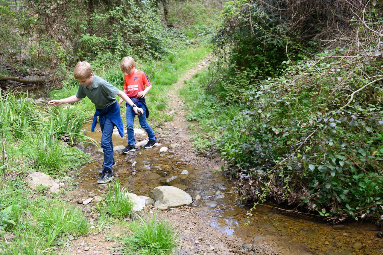 Two children carefully step across a shallow stream on a rocky path in a green outdoor setting.