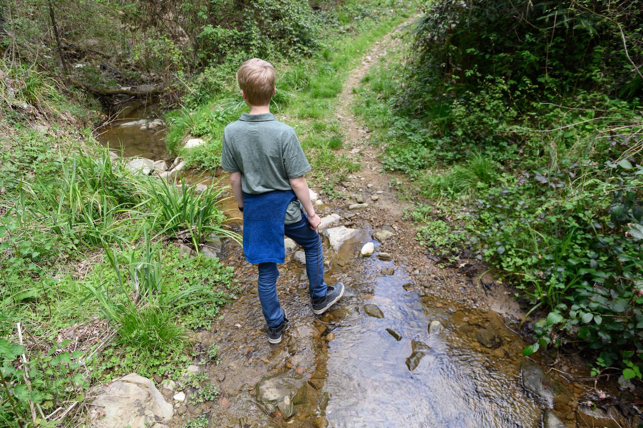 A boy stands in a shallow creek, looking ahead on a dirt path surrounded by plants.