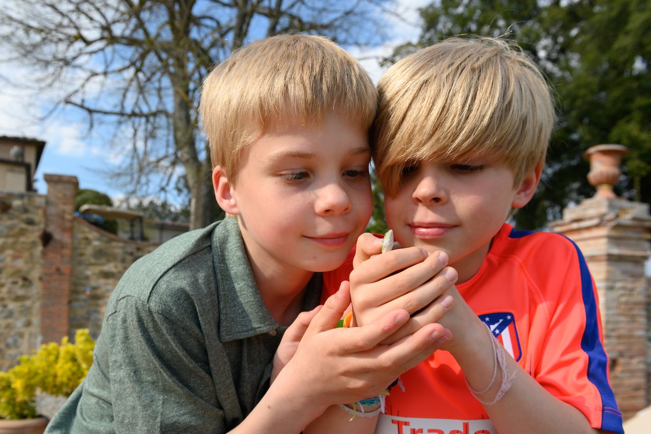 Two boys carefully hold a small lizard in their hands, looking at it with curiosity.