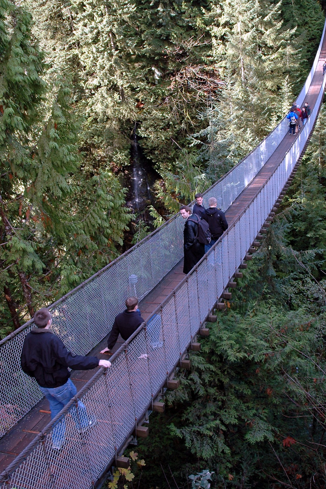 A person slips while walking on the high Capilano Suspension Bridge, surrounded by trees and other pedestrians.