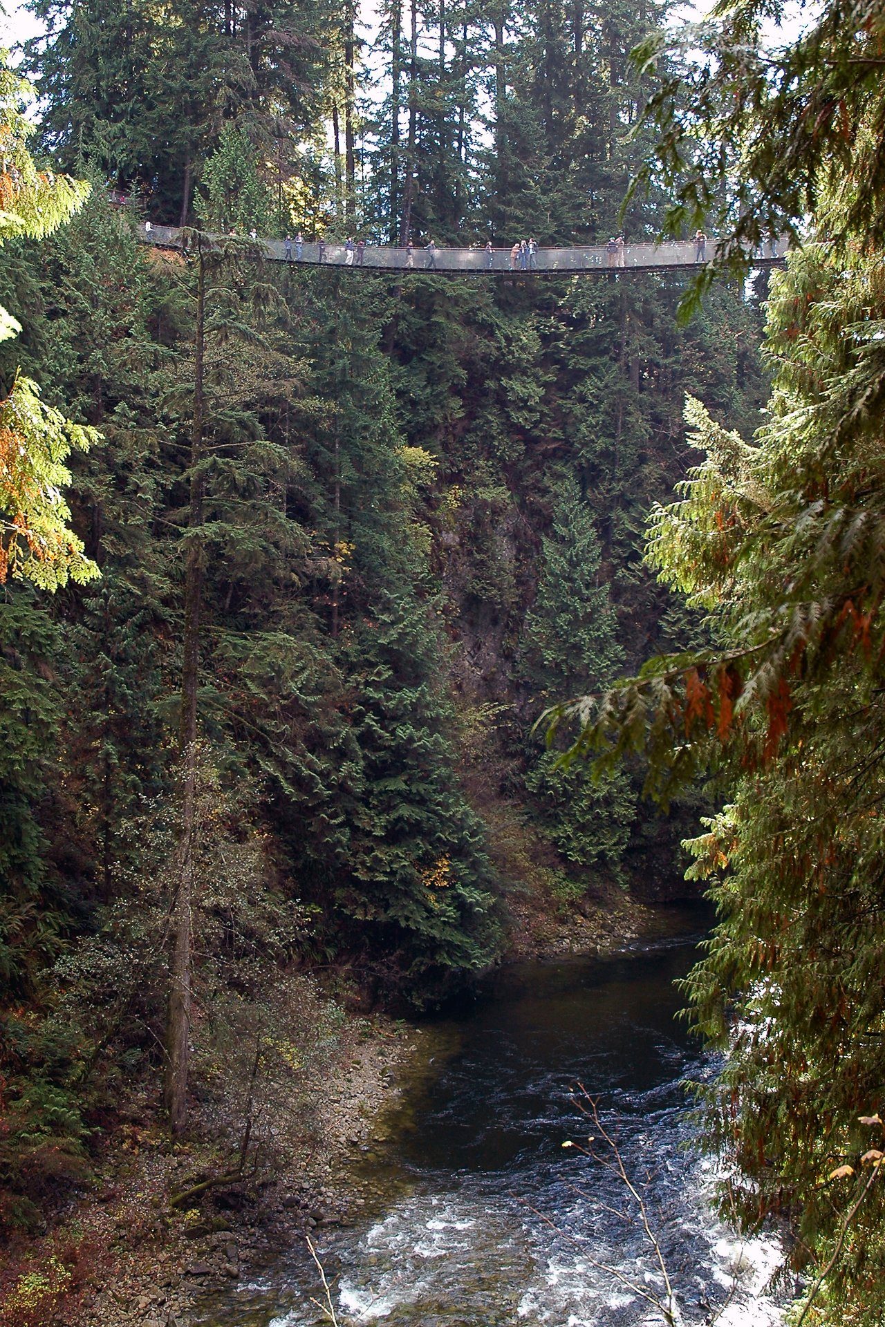 People walk across the Capilano Suspension Bridge, high above a river, surrounded by tall evergreen trees.