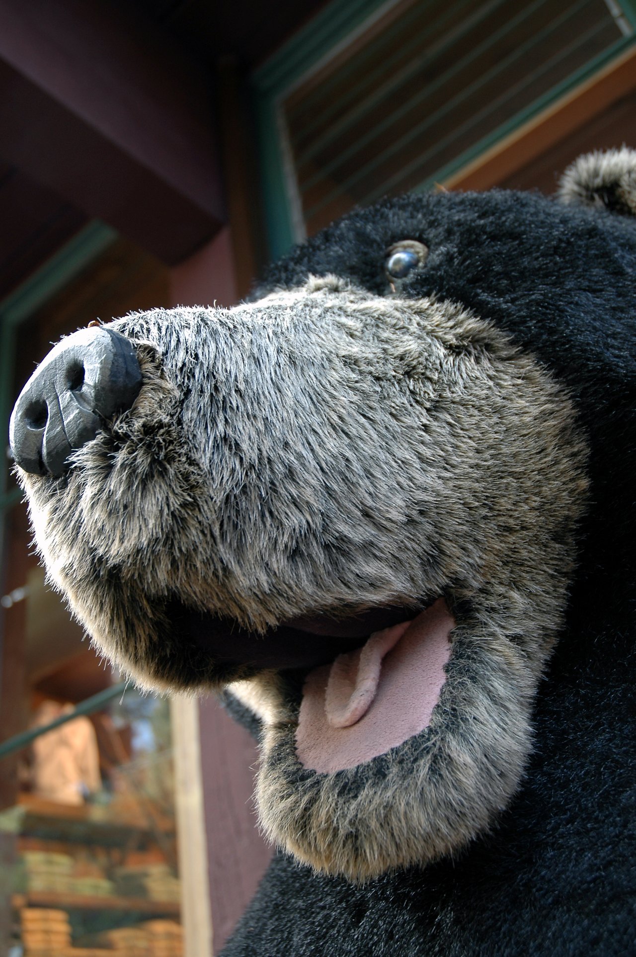 Close-up of a large bear statue or mascot with its mouth open, showing its teeth and tongue.