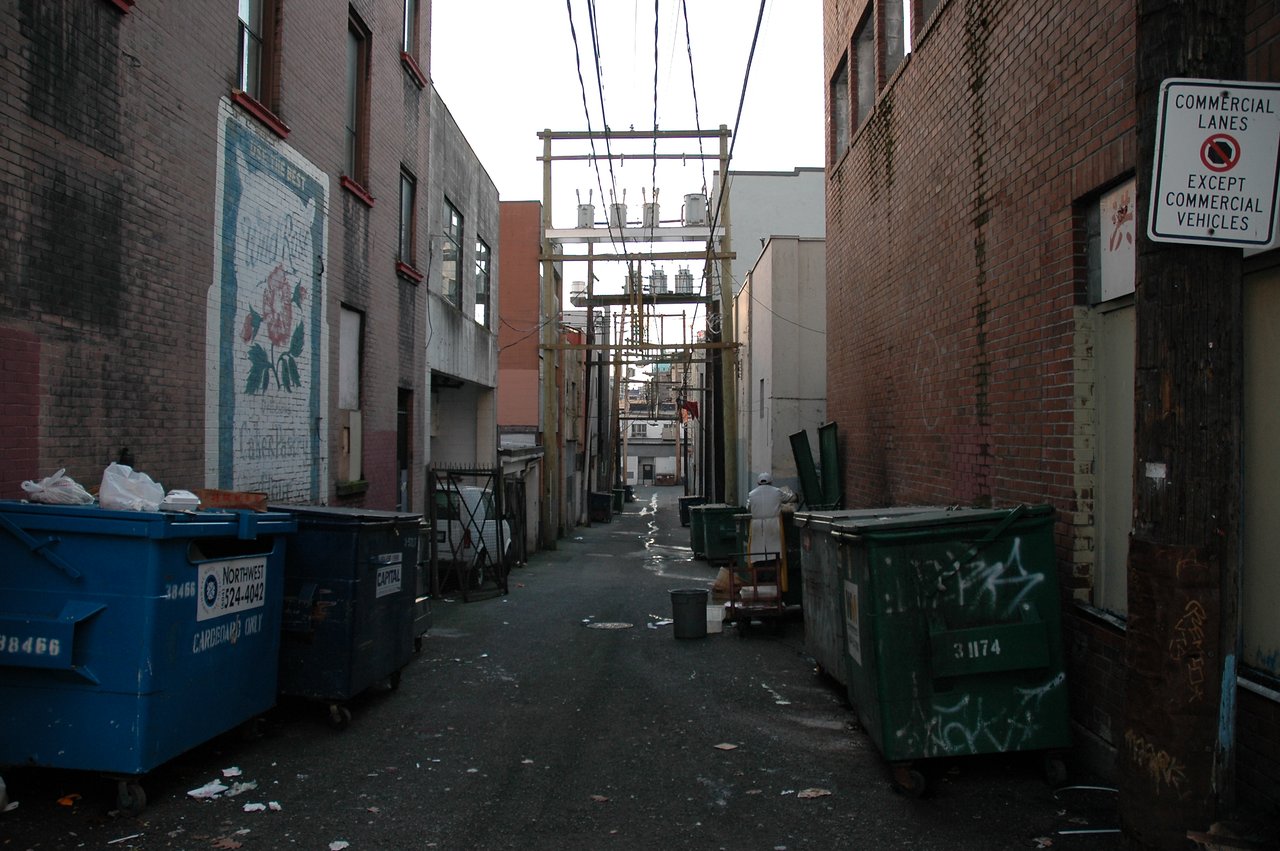 A narrow alley with dumpsters on both sides and a person rummaging through a trash bin in the distance.