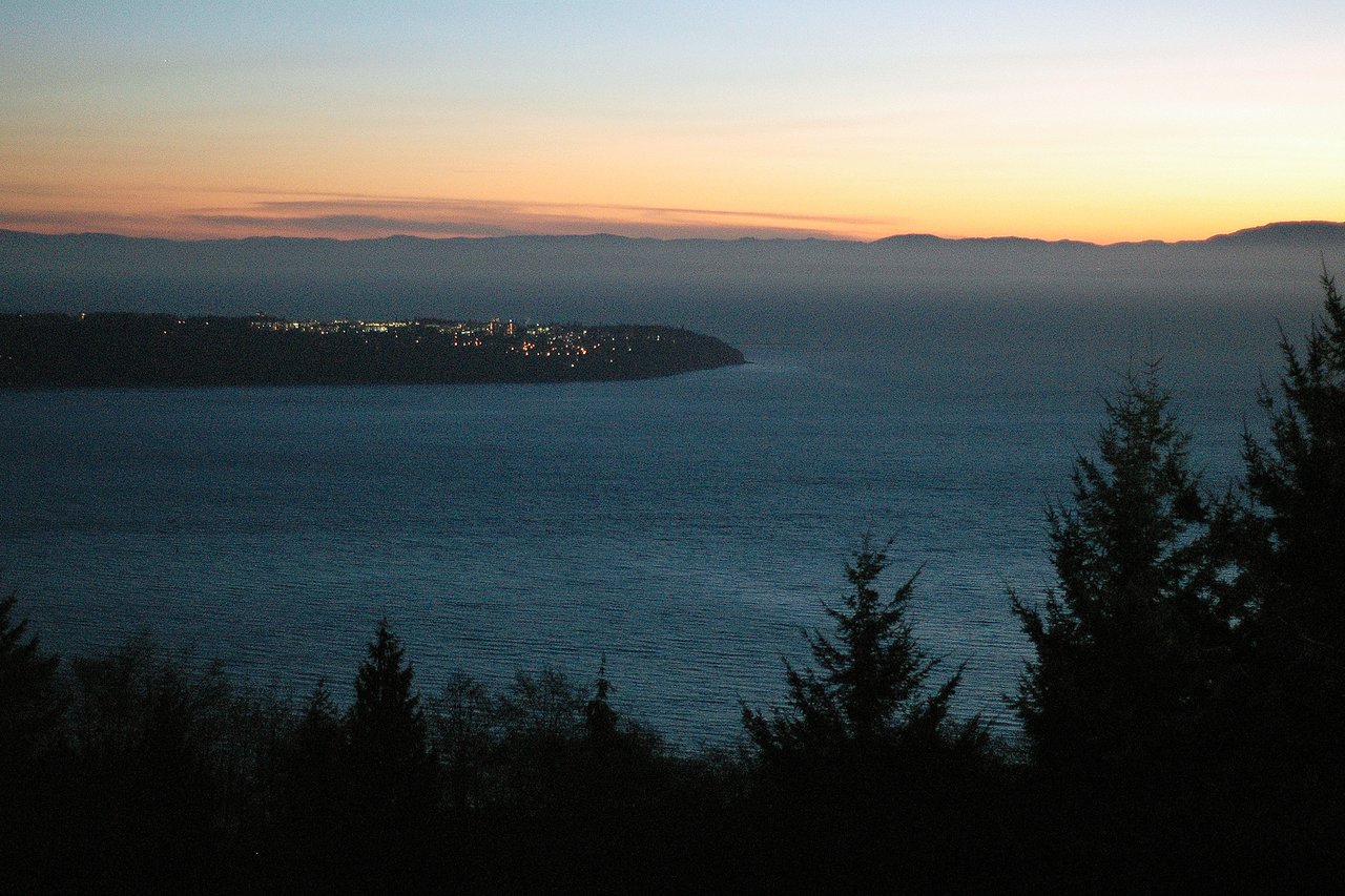 The sun sets over the ocean, with a distant shoreline and city lights visible beyond dark trees in the foreground.