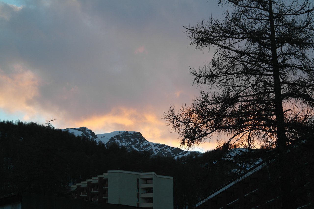 Snow-covered mountains and buildings under a colorful sunset sky, with a tall tree in the foreground.