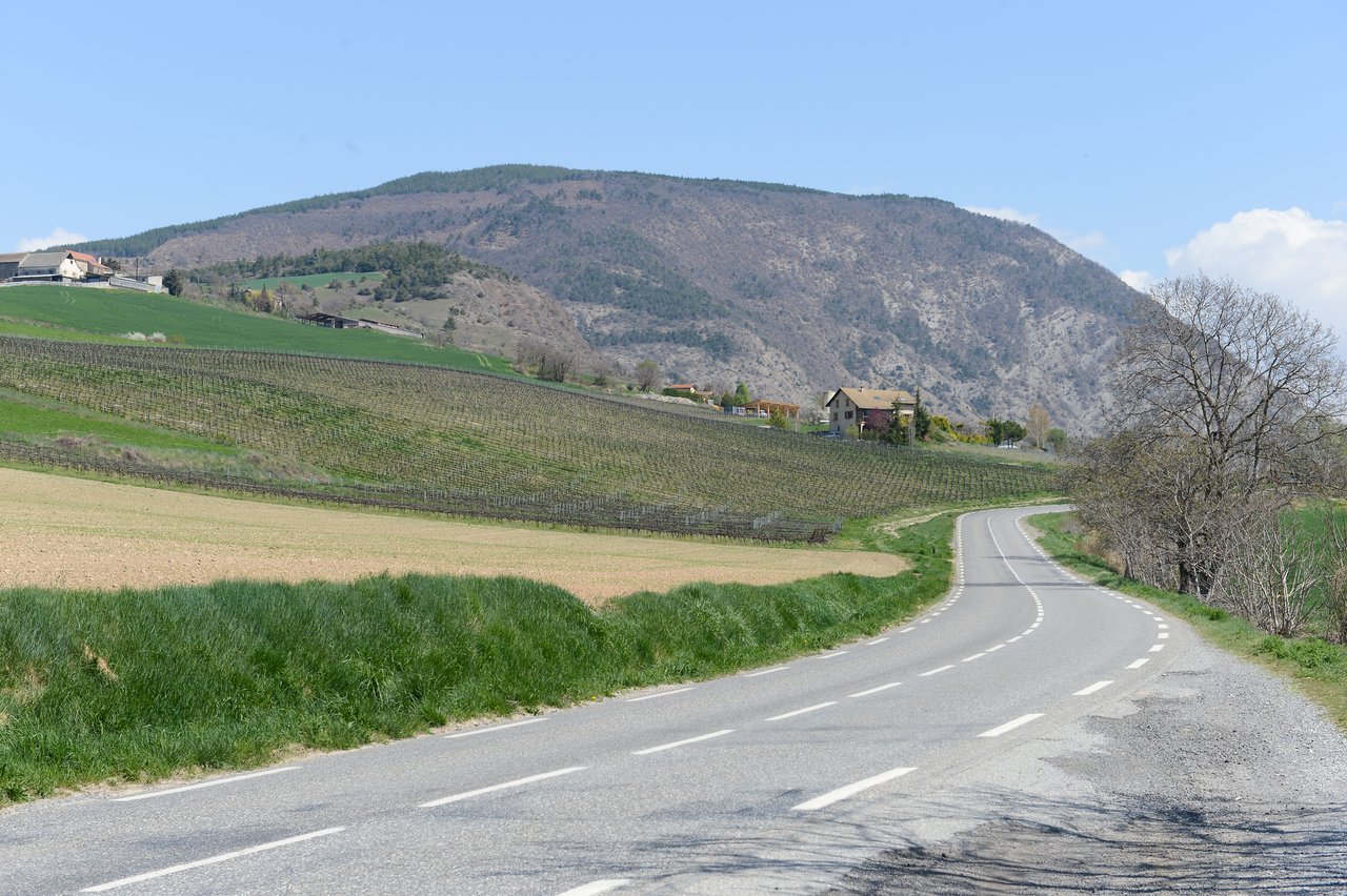 A winding road curves through green fields with houses and a mountain in the background under a clear sky.