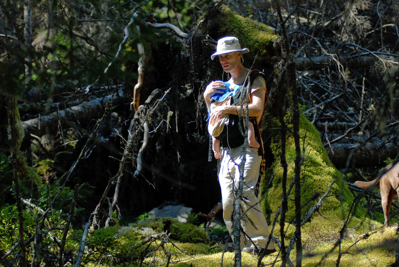 A person wearing a hat carries a baby in a front carrier while walking through a mossy forest.