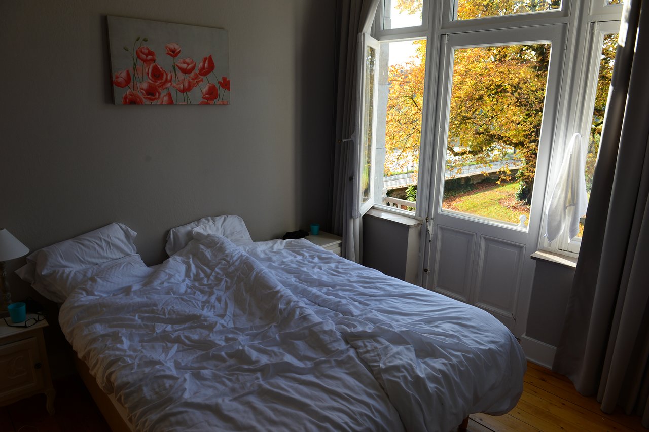 A bedroom with an unmade bed, open windows, and a view of trees with autumn leaves outside.