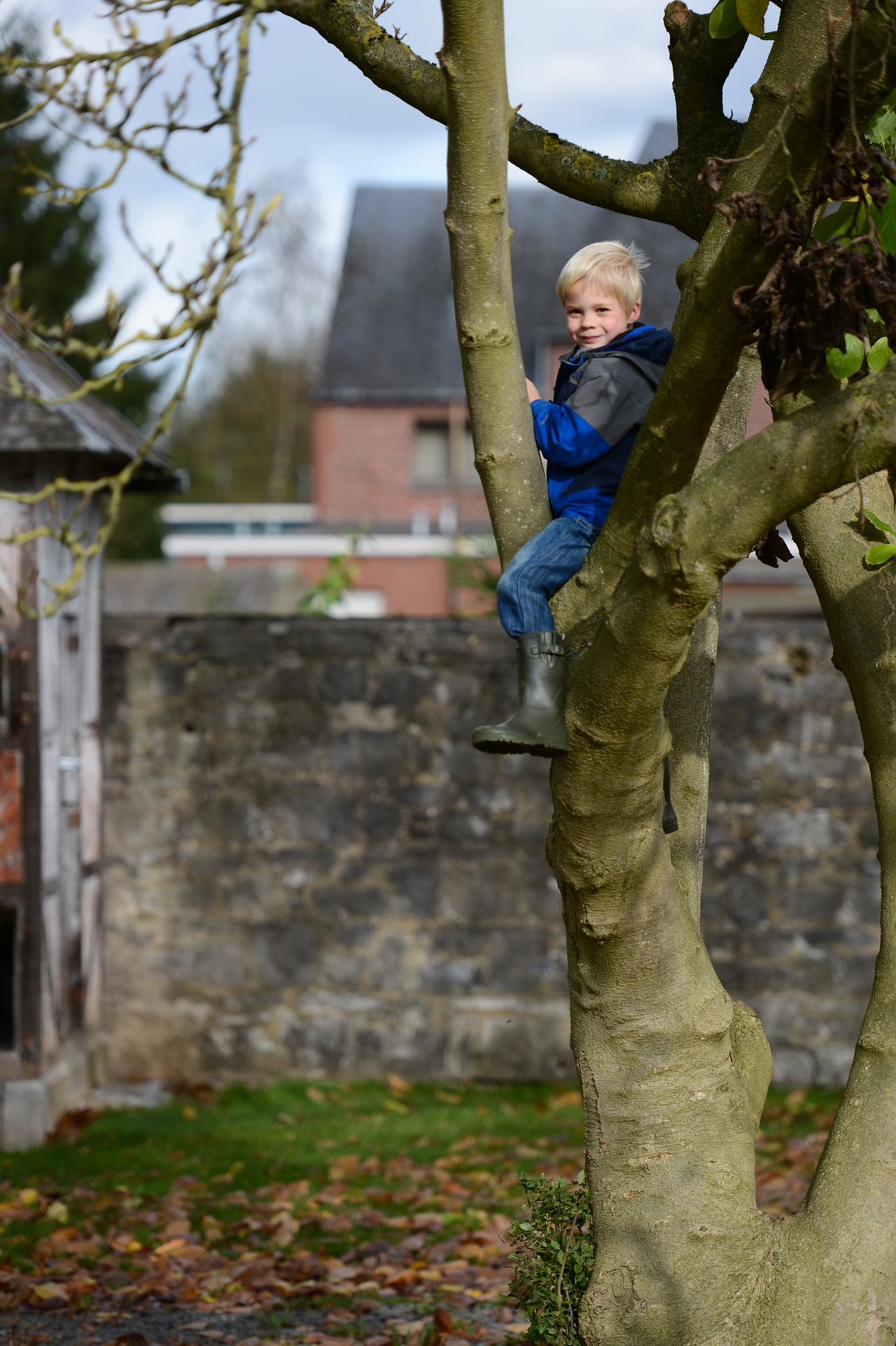 A young child in a blue jacket and boots climbs a tree, smiling at the camera.