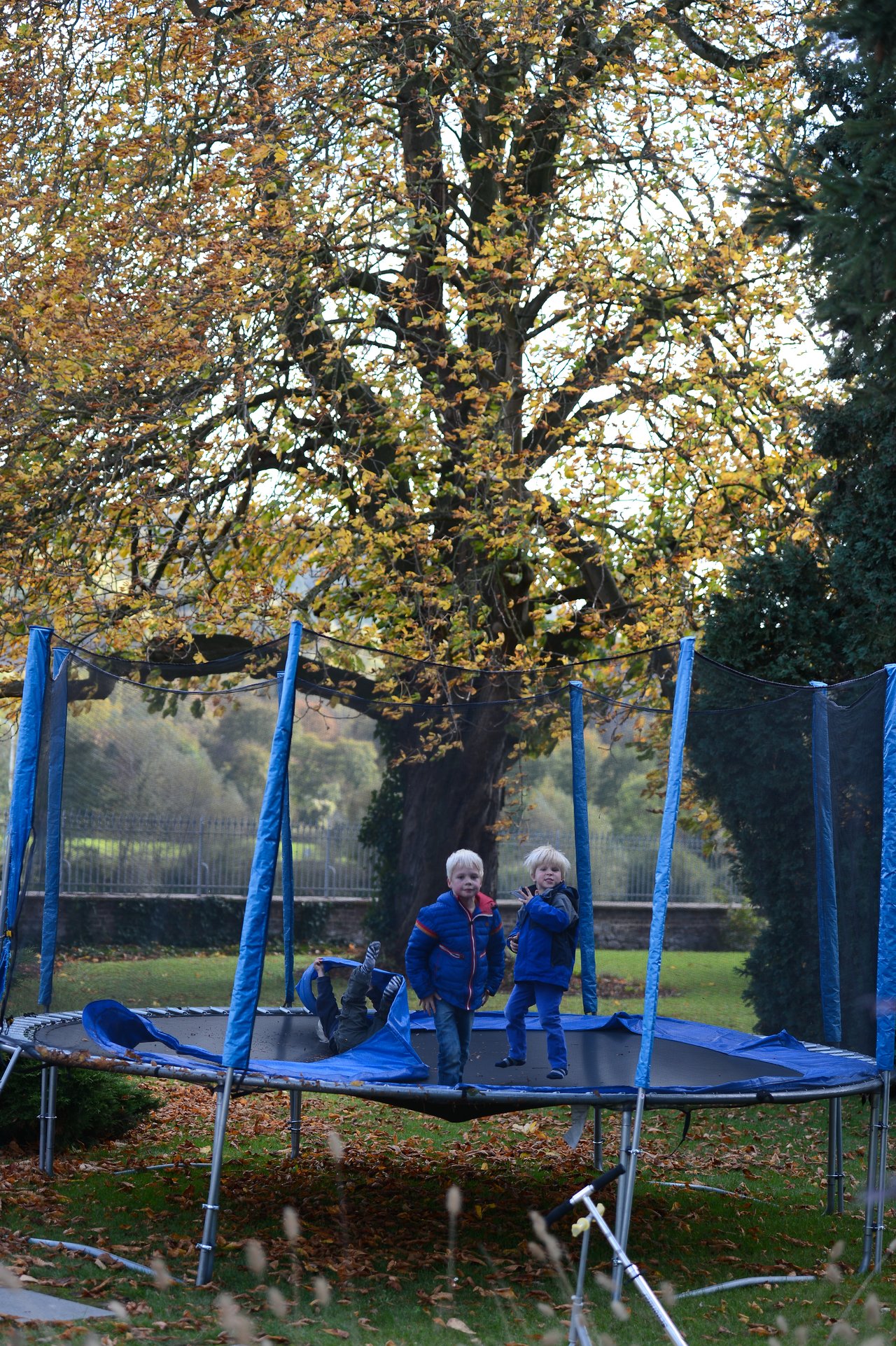 Two children in blue jackets stand on a trampoline while another child lies down, partially covered by the safety net.