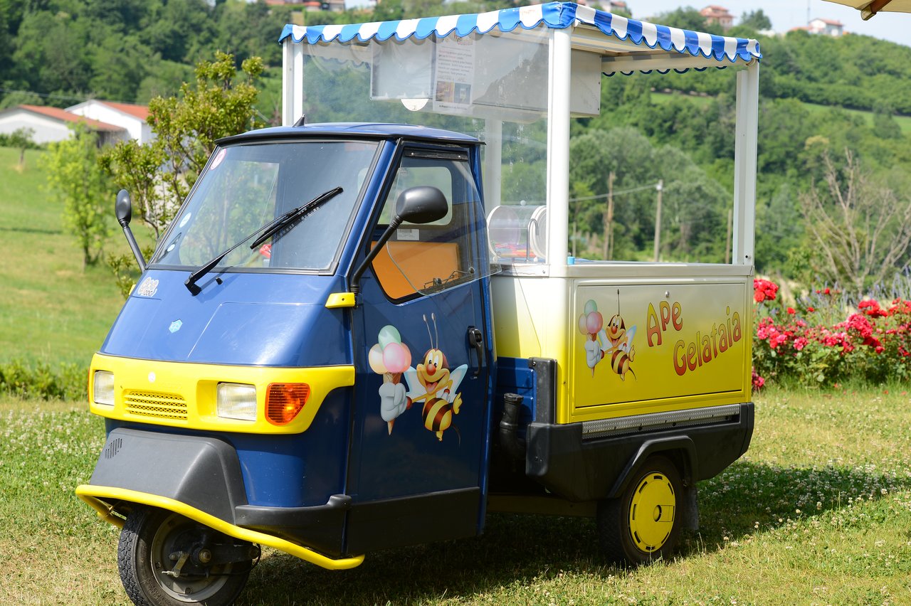 A small blue and yellow ice cream cart vehicle with a canopy, parked on grass in an outdoor setting.
