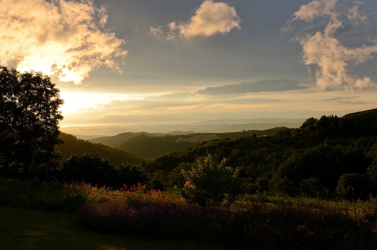 A scenic landscape with rolling hills, trees, and a sunset casting a warm glow over the horizon.