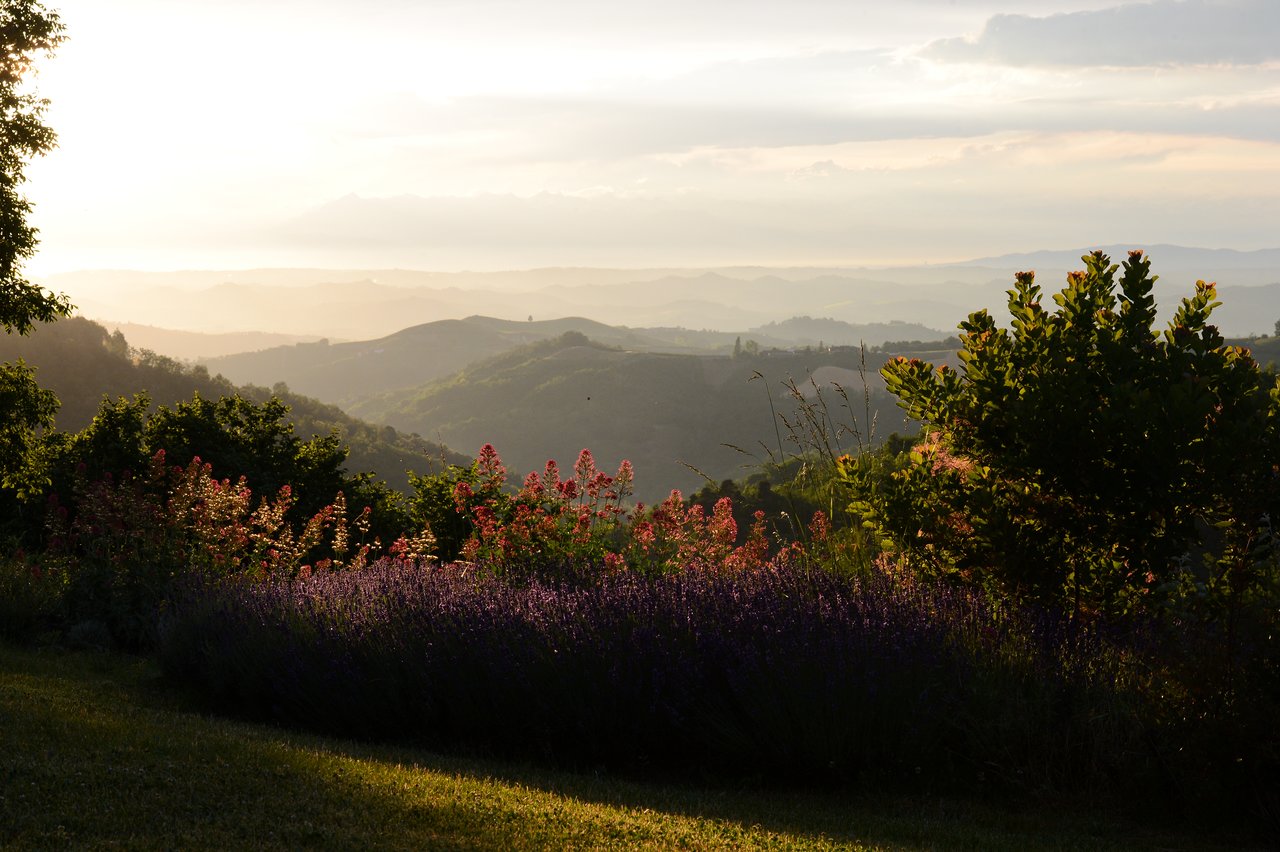 A scenic landscape with rolling hills, colorful flowers, and trees at sunset.