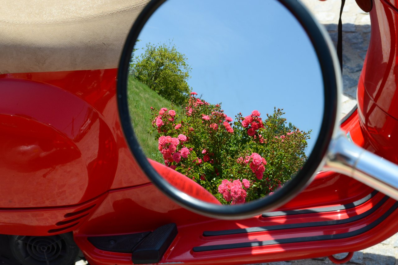 A red scooter with its mirror reflecting pink flowers and a blue sky.