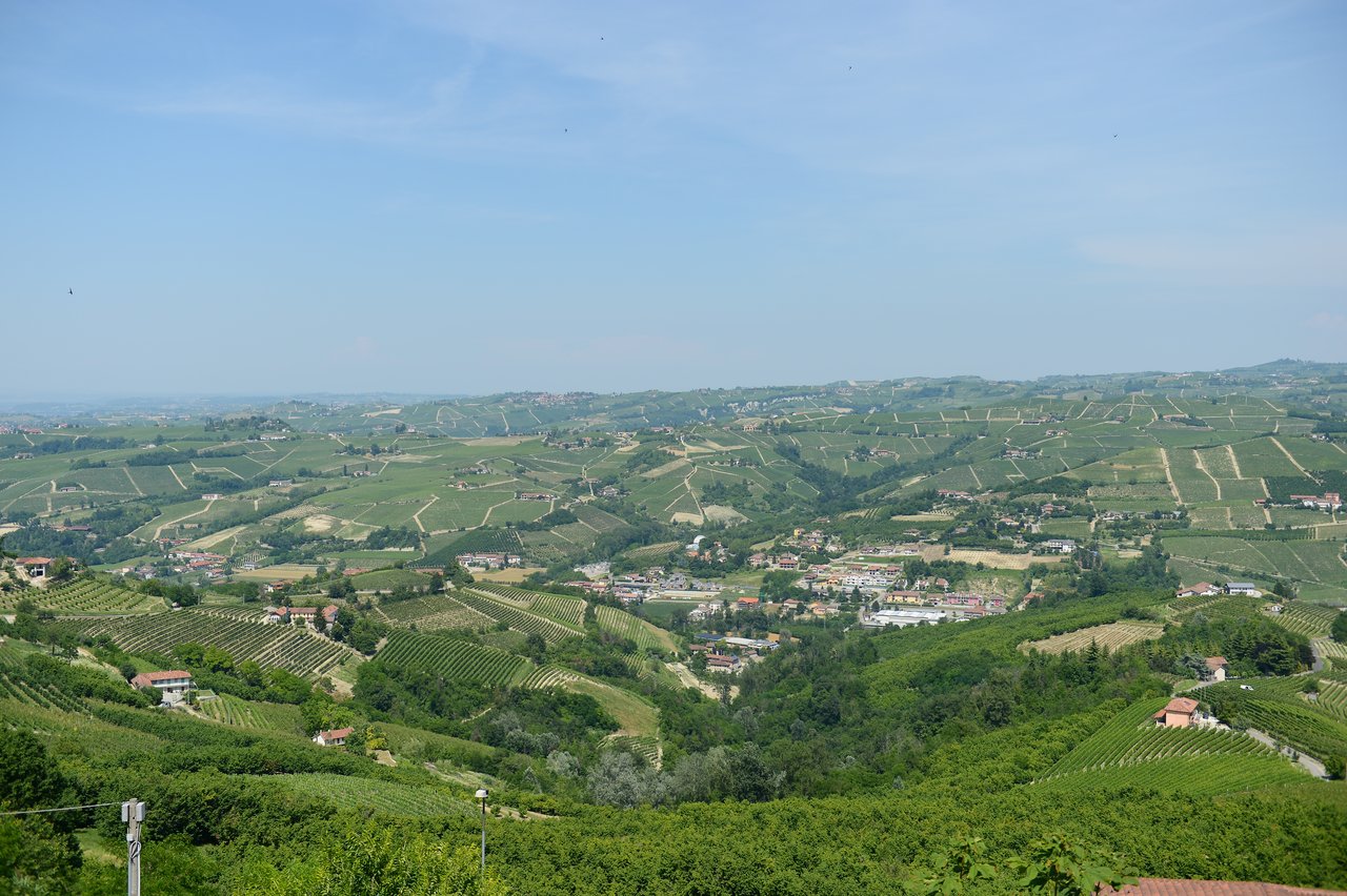A wide view of green vineyards, rolling hills, and small villages under a clear blue sky.