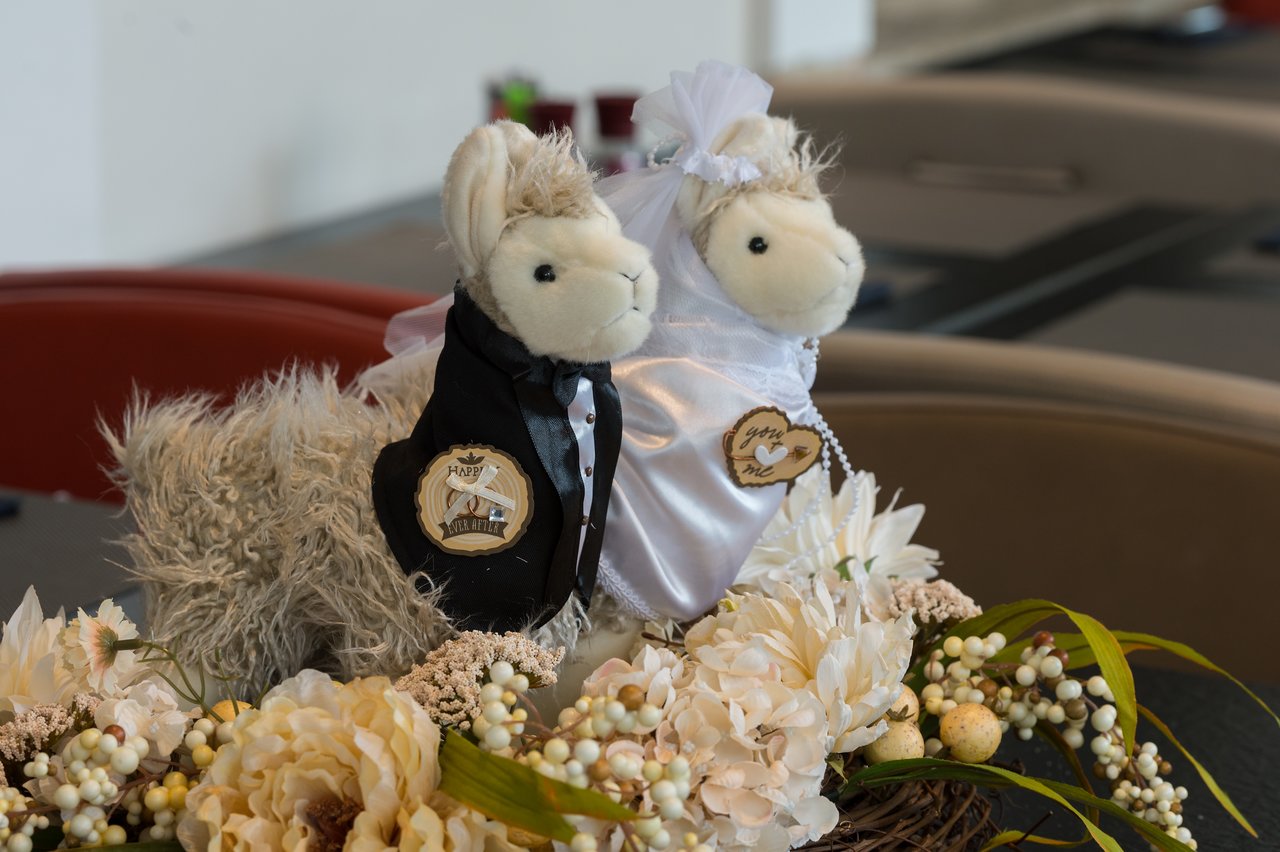 Two plush llamas dressed as a bride and groom sit on a floral arrangement at a wedding celebration.