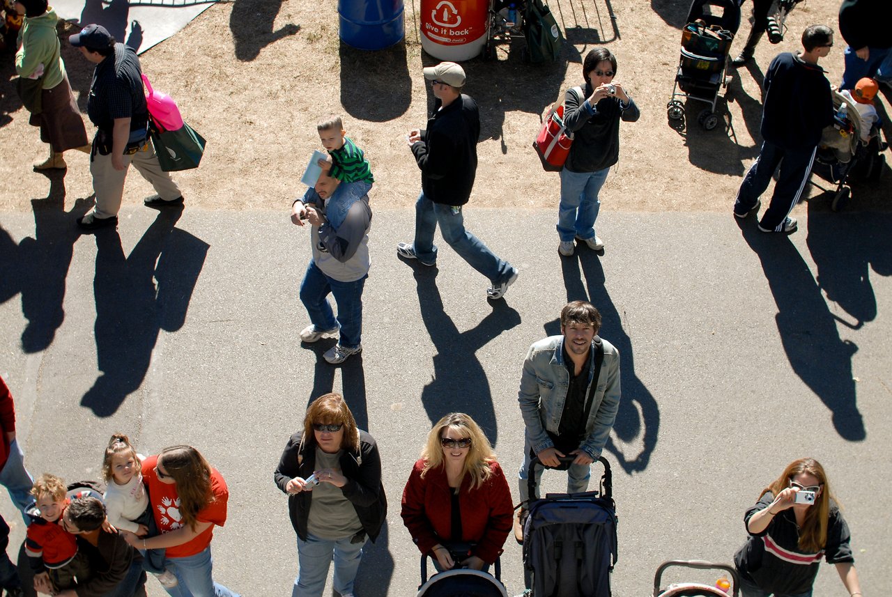People looking up and taking photos, some pushing strollers, in a busy outdoor setting with strong shadows.