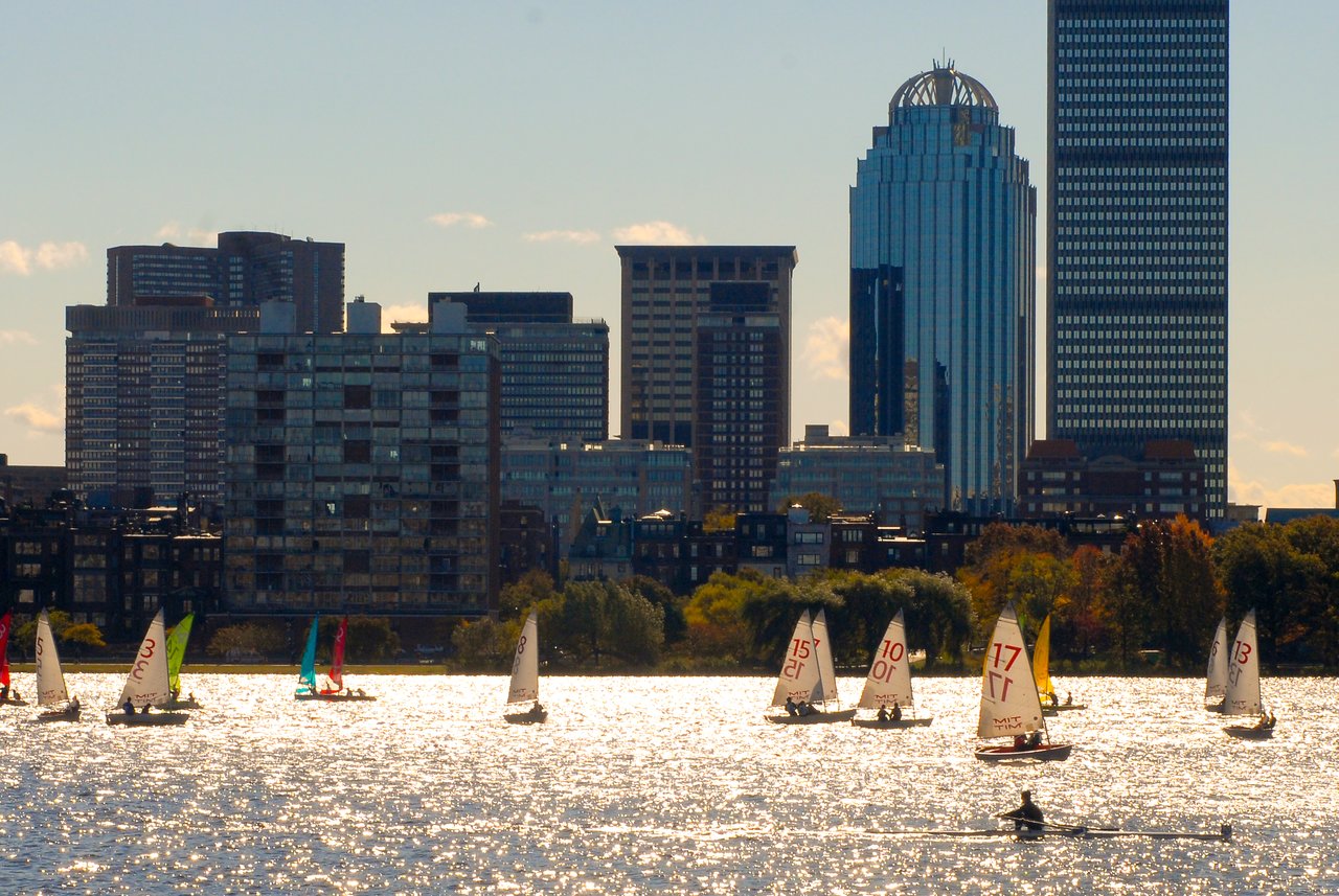 Several small sailboats with numbered sails glide across the Charles River, with a city skyline in the background.