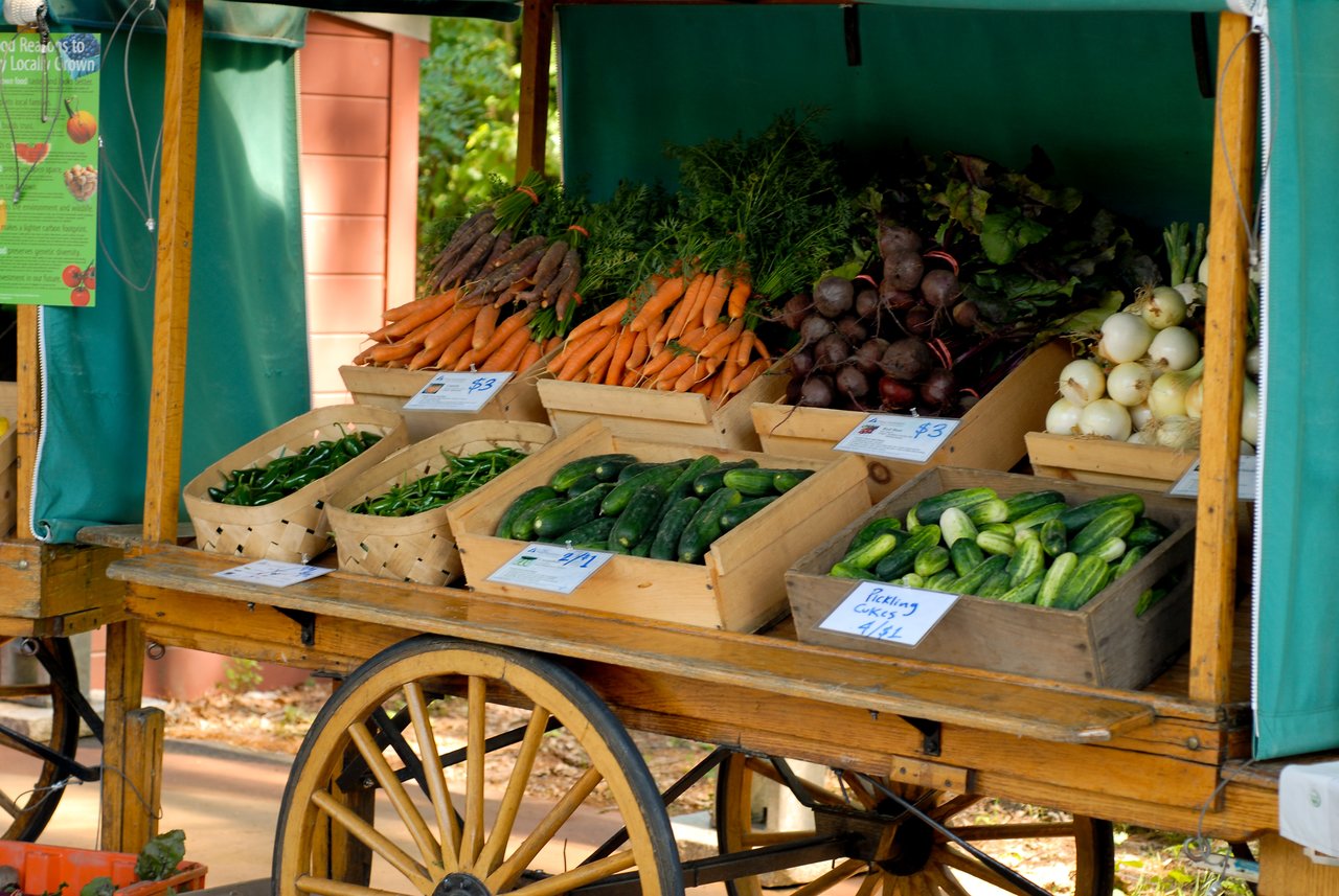 A wooden farm cart displays fresh vegetables, including carrots, cucumbers, onions, and beets, arranged in baskets and crates.