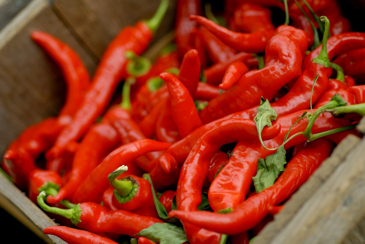 A wooden crate filled with fresh red chili peppers at a farmers market.