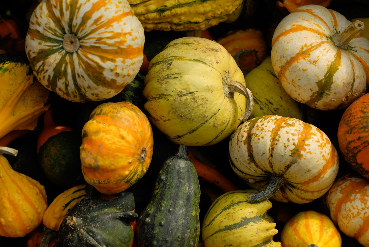 A pile of colorful gourds and squash displayed at a farmers market.