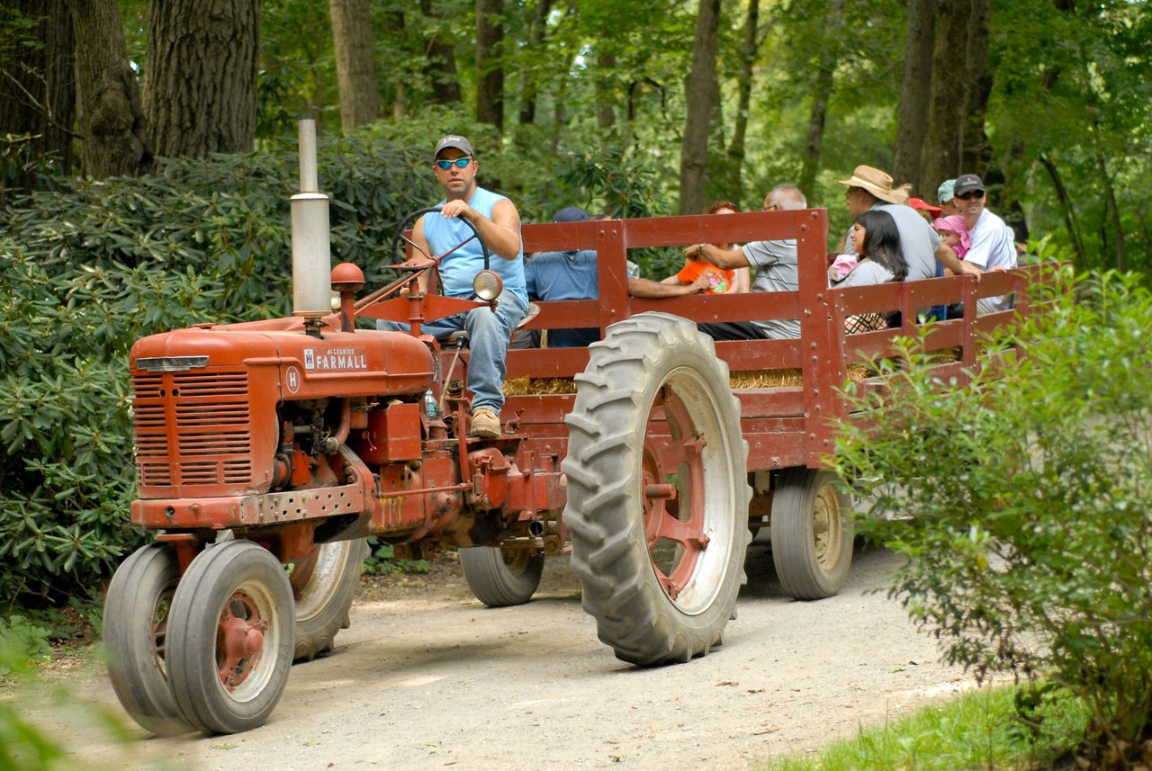 A man drives a red tractor pulling a wooden wagon filled with people on a hayride through a wooded area.