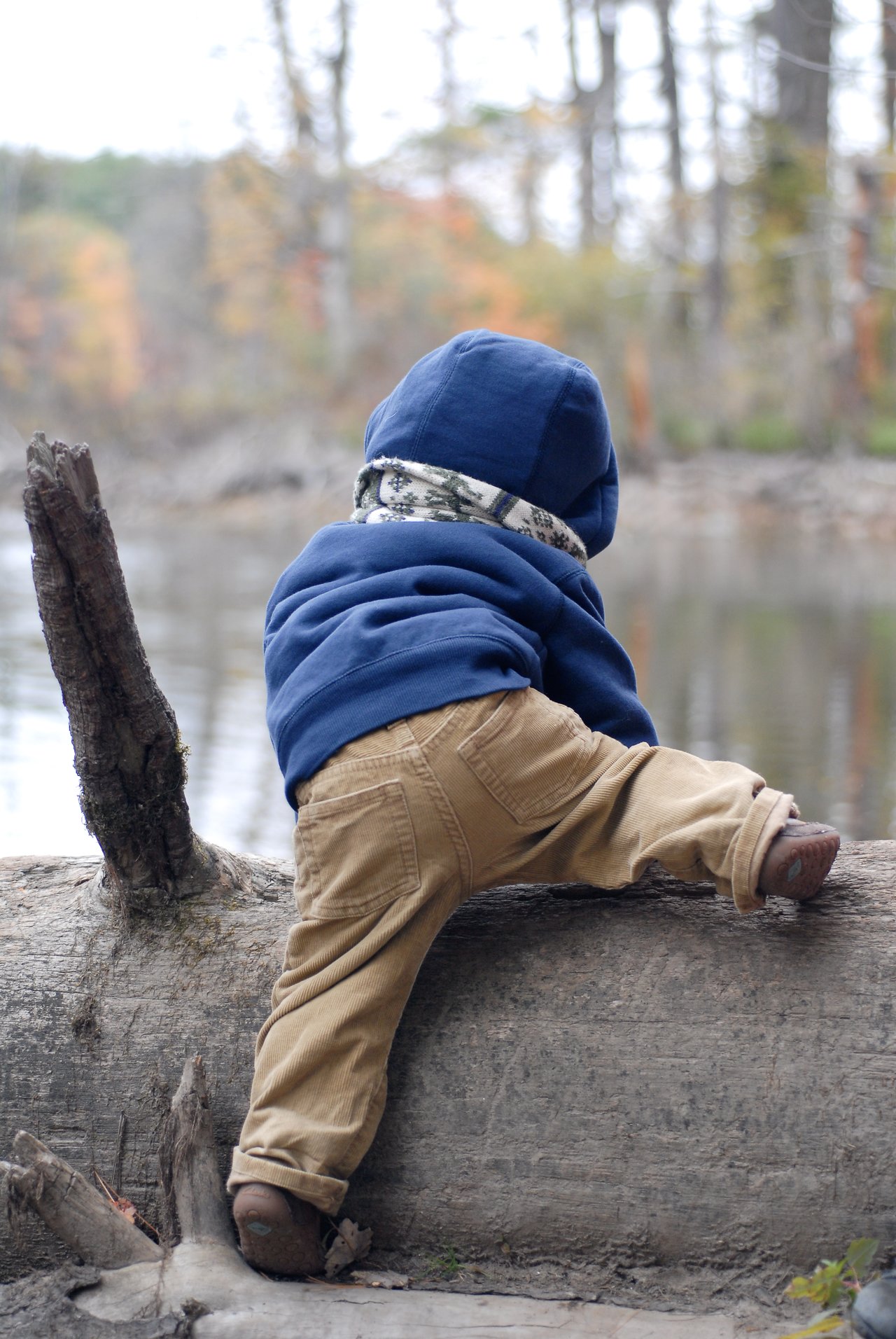 A child in a blue hoodie climbs over a fallen tree trunk near a calm body of water.