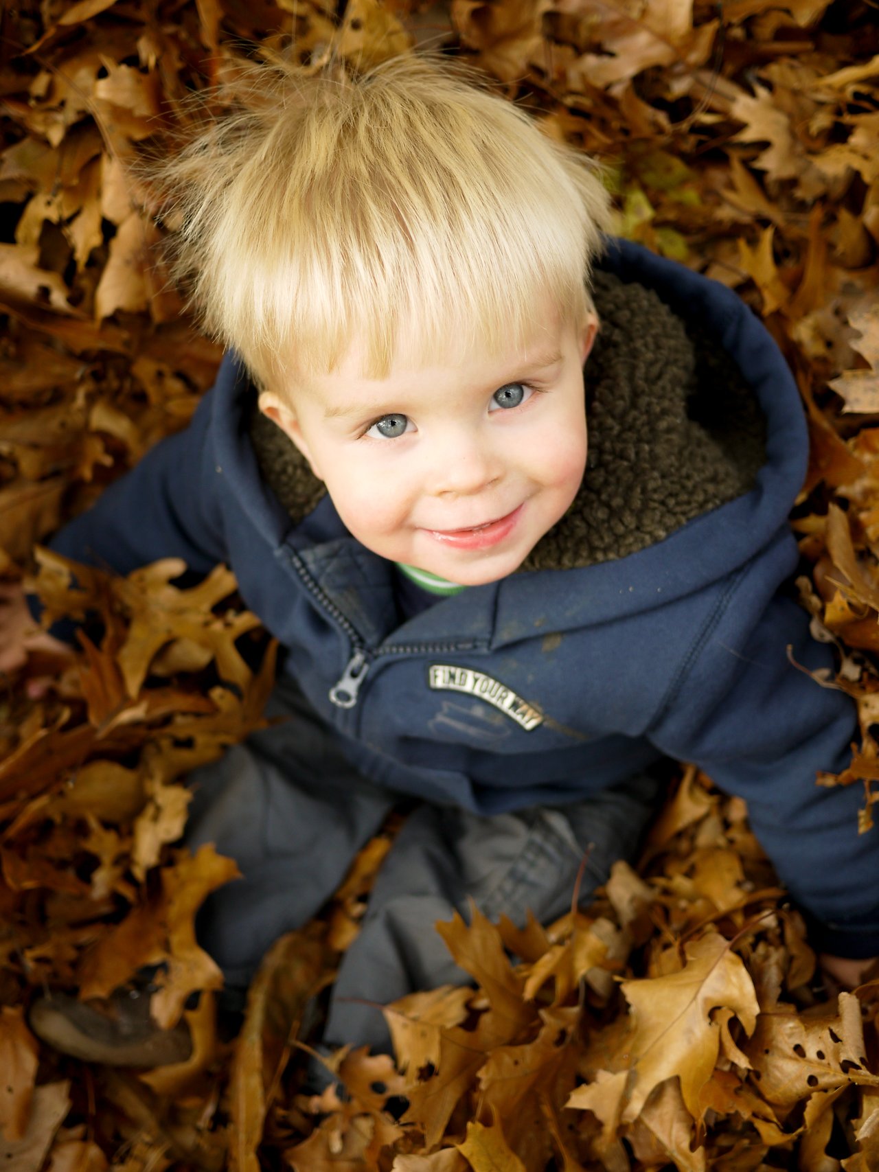 A young child in a blue jacket sits among fallen autumn leaves, smiling and looking up at the camera.