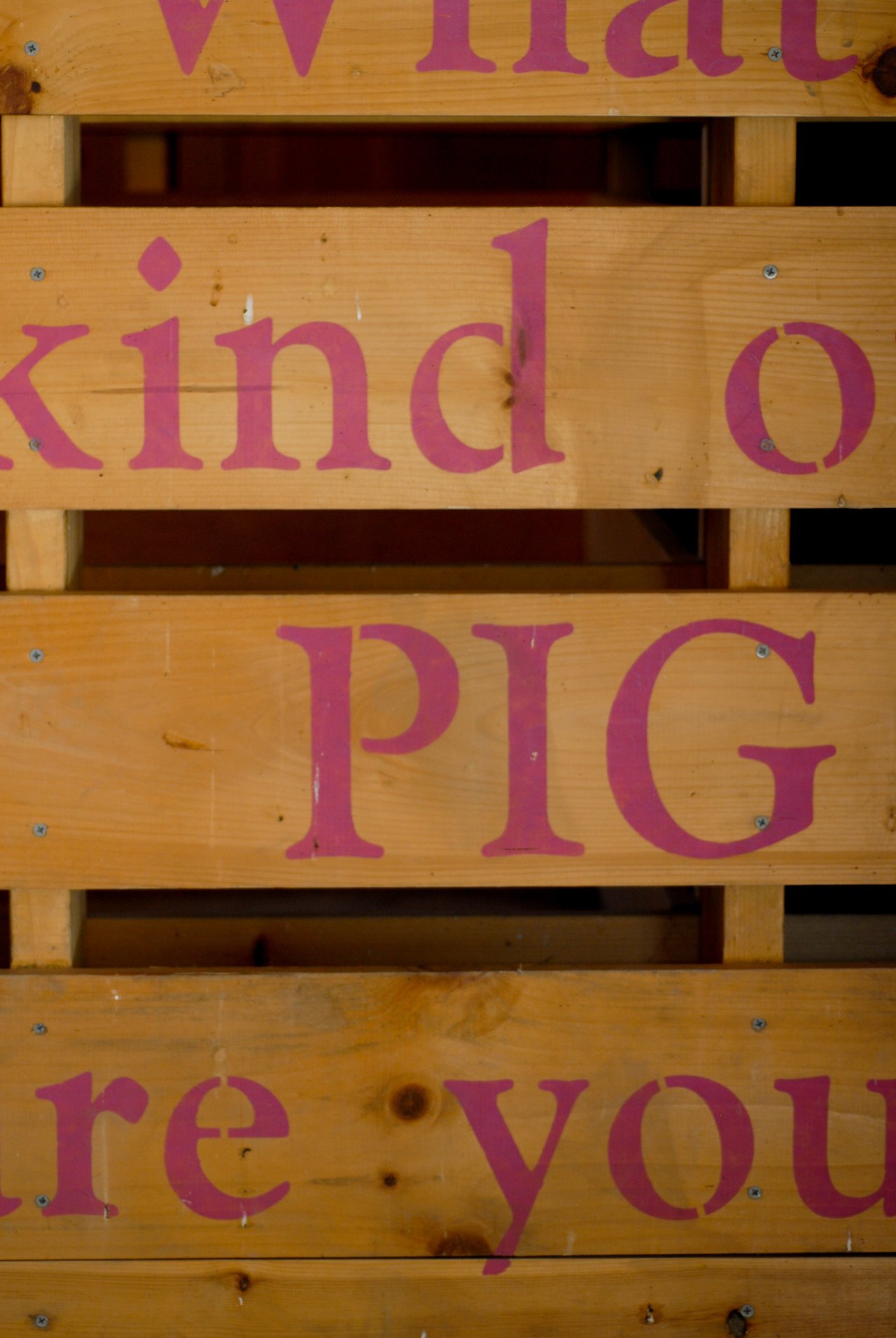Wooden sign with large pink letters spelling "What kind of PIG are you?" on horizontal slats.