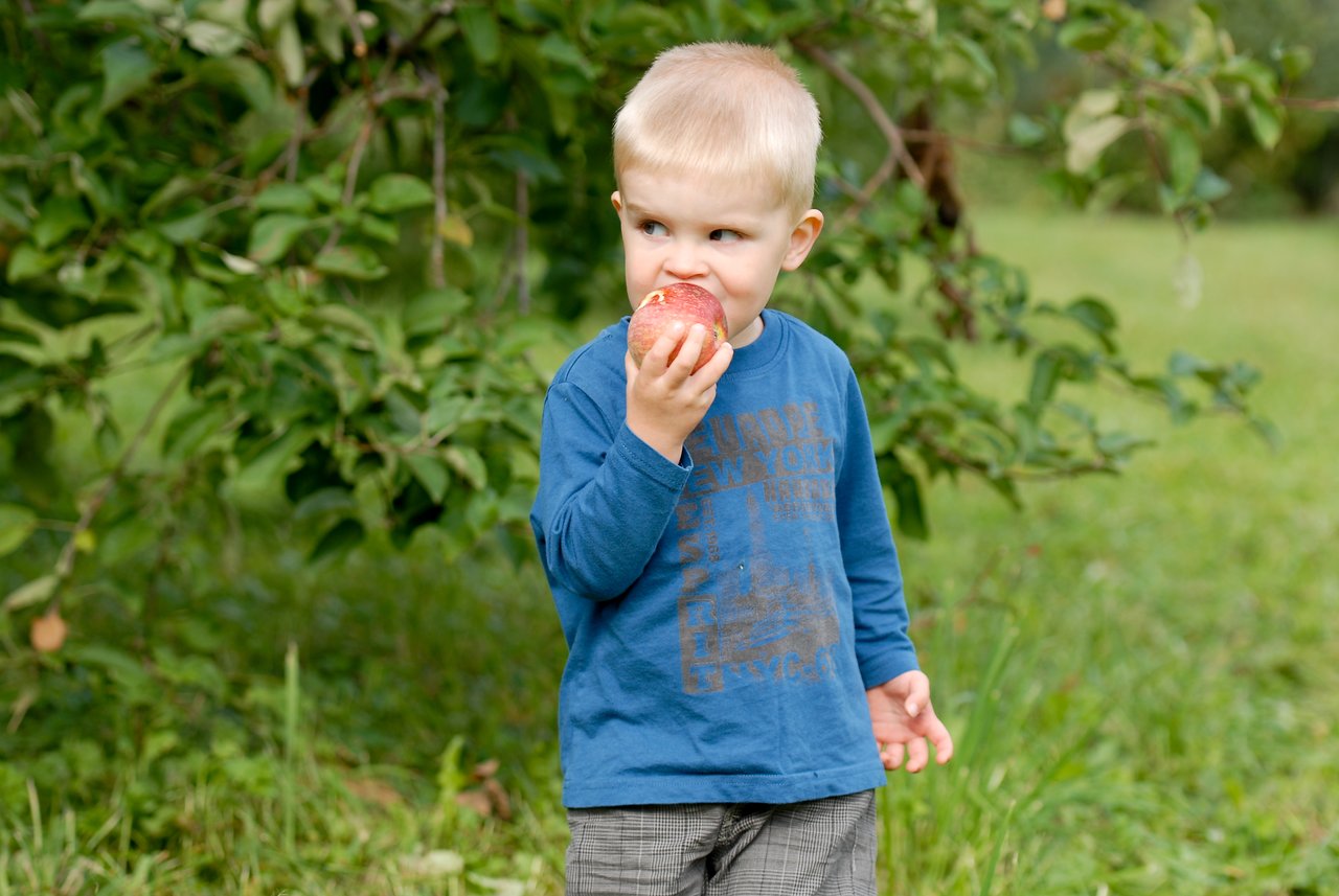 A young child in a blue shirt takes a bite of an apple while standing outdoors.