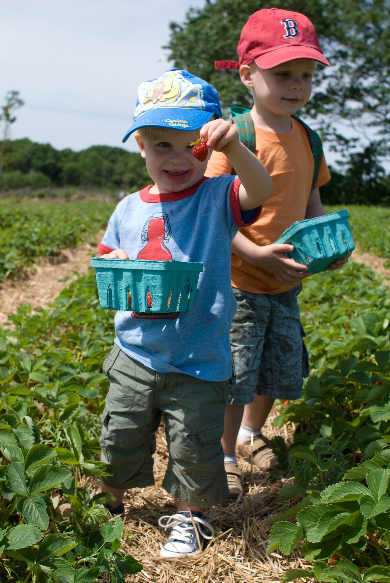 Two young children pick strawberries in a field, holding baskets while one excitedly shows a freshly picked berry.