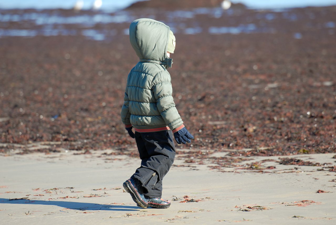 A child in a hooded jacket and gloves walks on a sandy beach covered with seaweed.