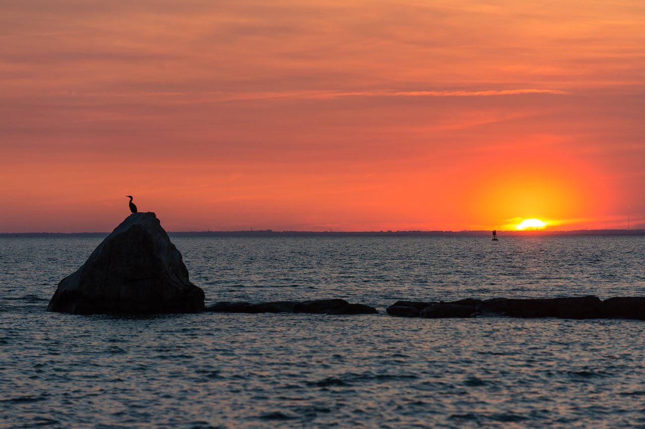 A bird sits on a rock in the water as the sun sets on the horizon.