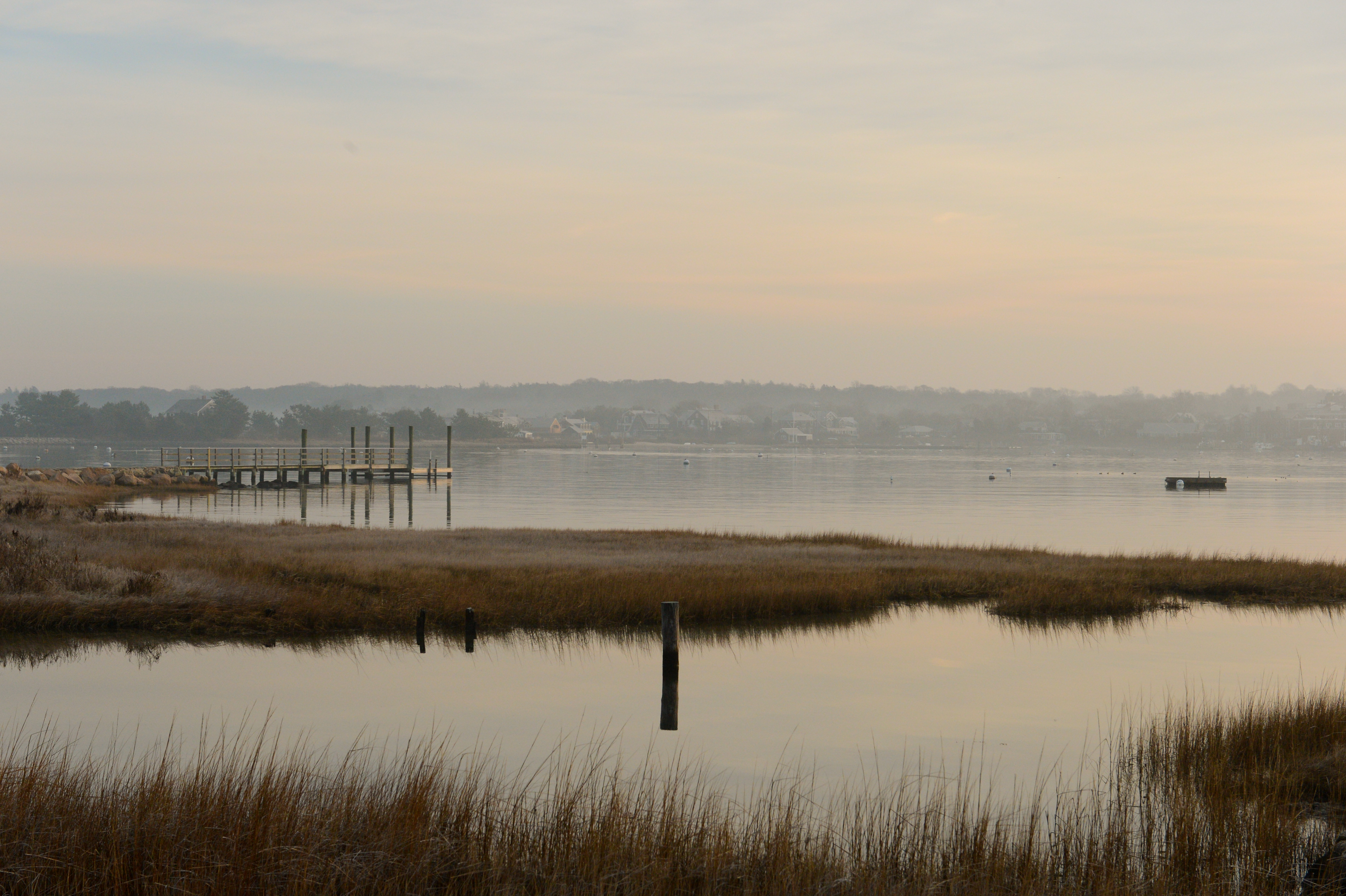 A calm waterfront scene with a wooden dock extending into still water, surrounded by marshy grass.