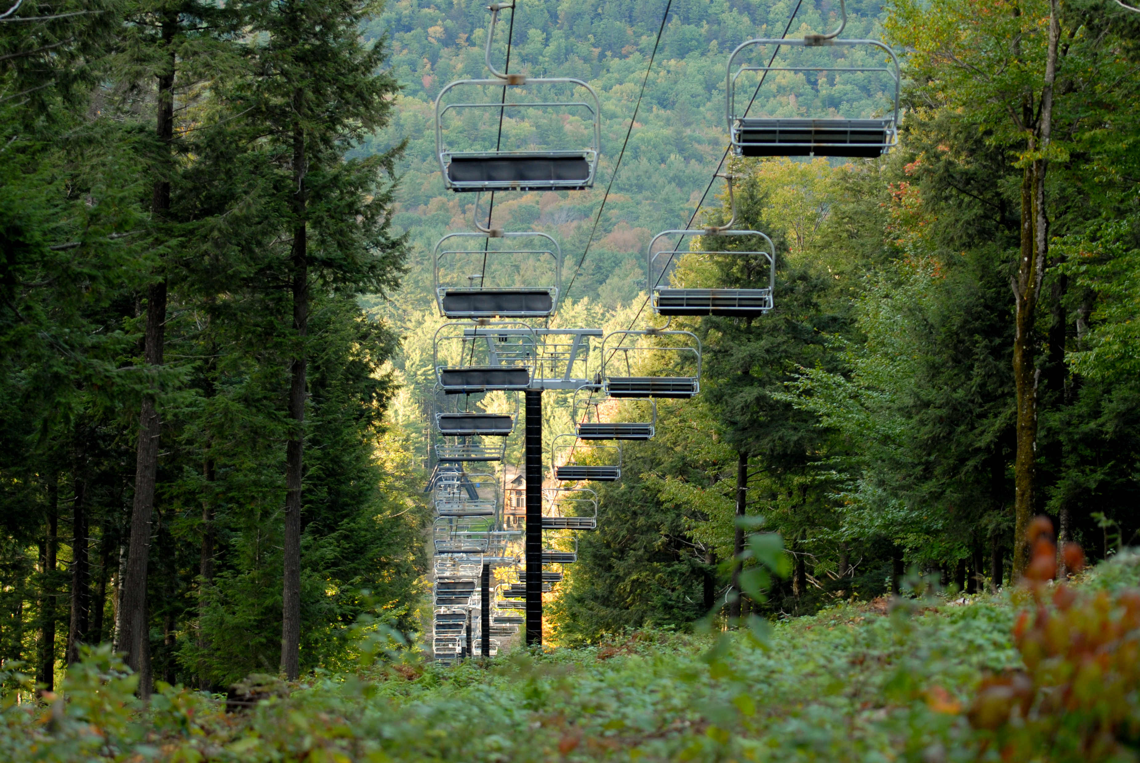 Empty ski lift chairs suspended above a forested hillside with green trees in the background.