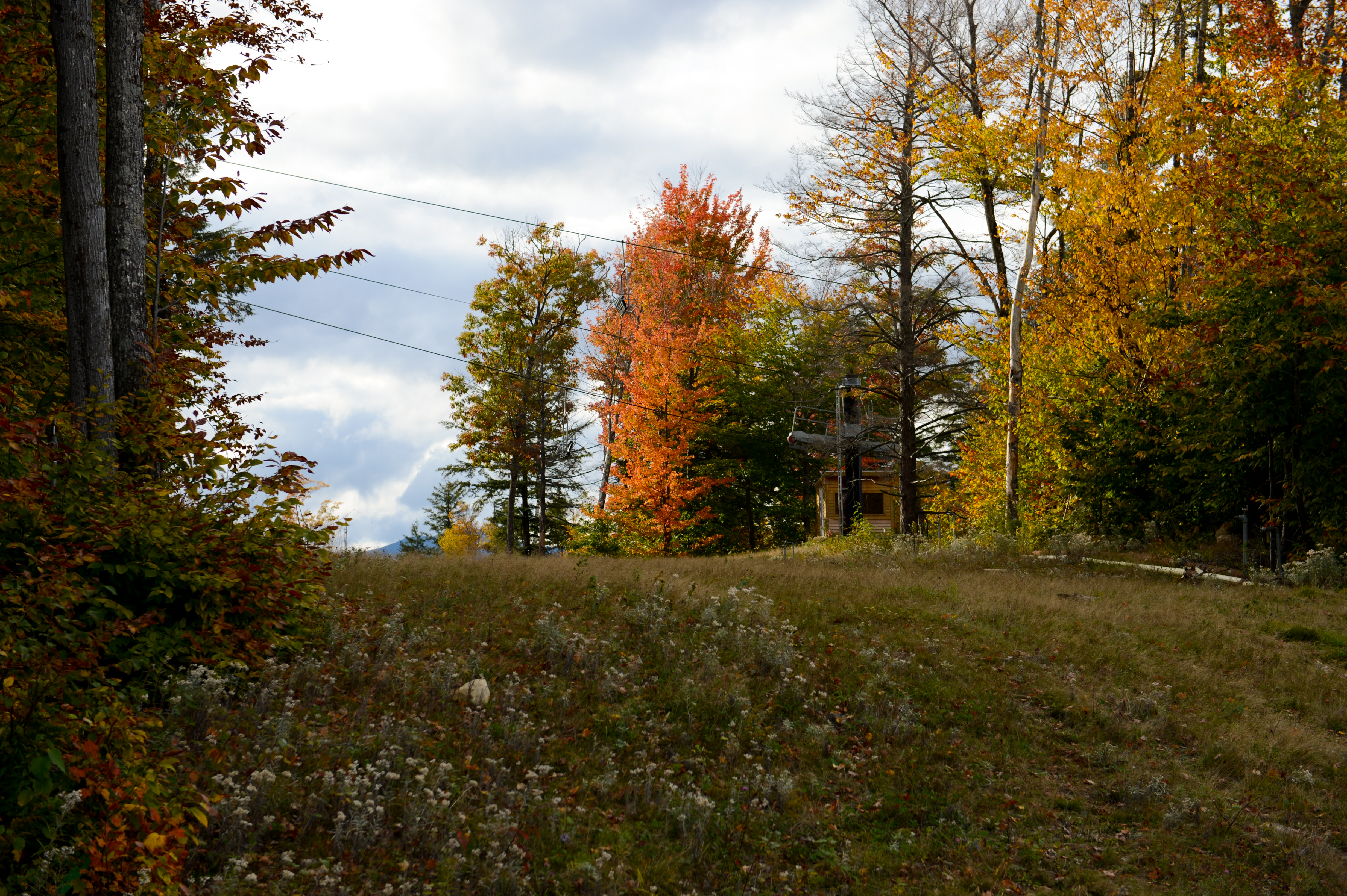 A grassy hill with autumn trees and a ski lift structure in the background under a cloudy sky.