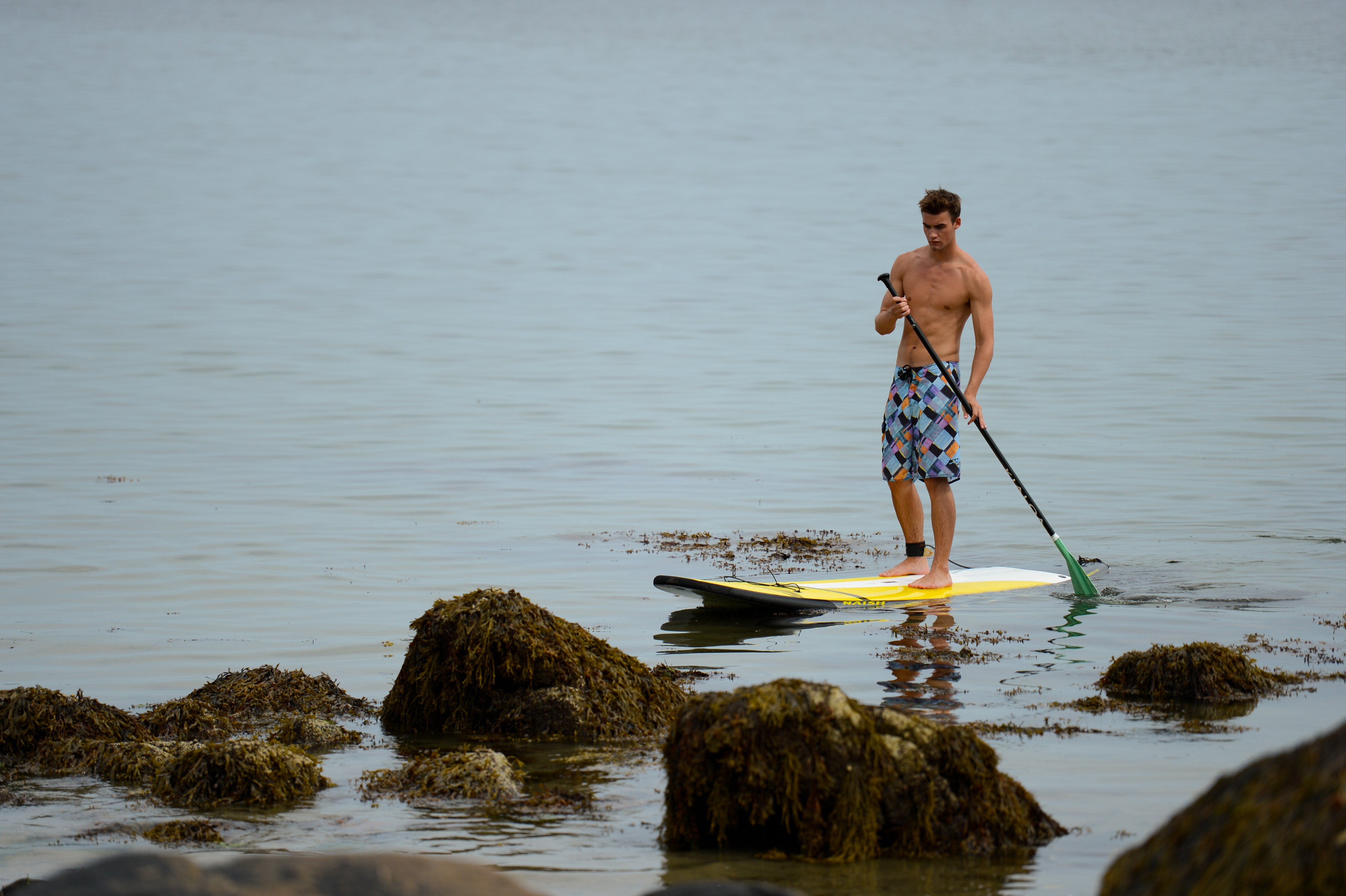 A man in swim shorts paddleboarding on calm water near seaweed-covered rocks.