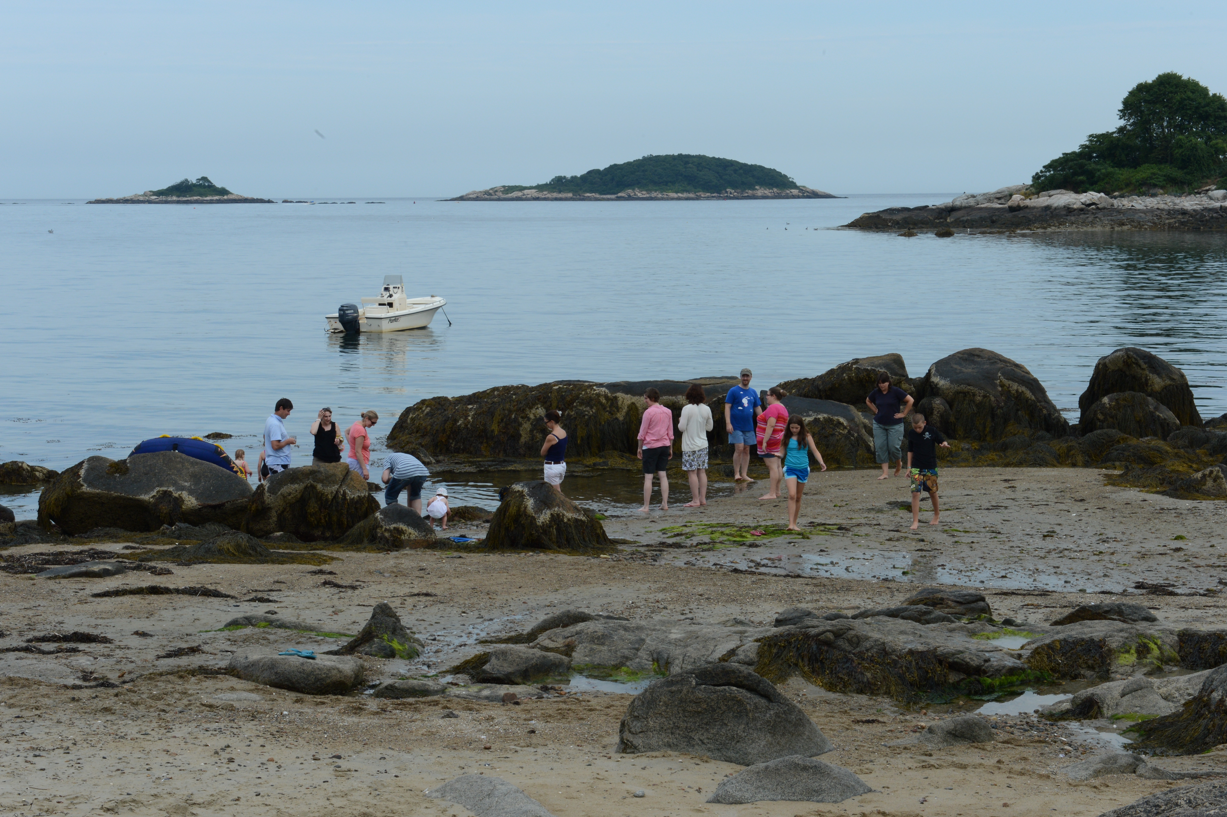 A group of people gathers on a rocky beach, talking and exploring the shoreline near the water.