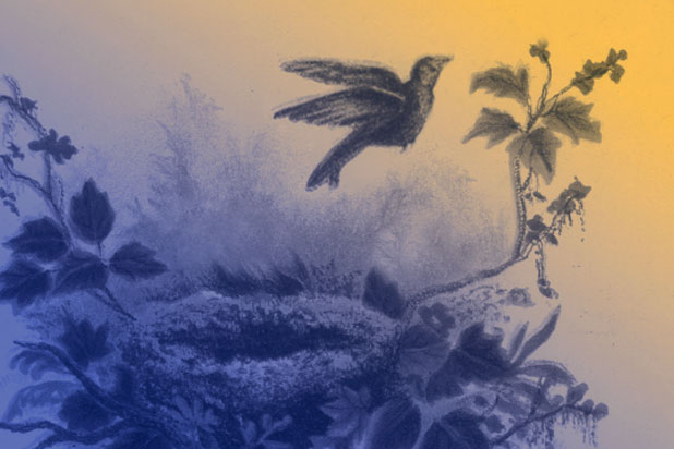 A sketch of a bird taking flight from its nest.