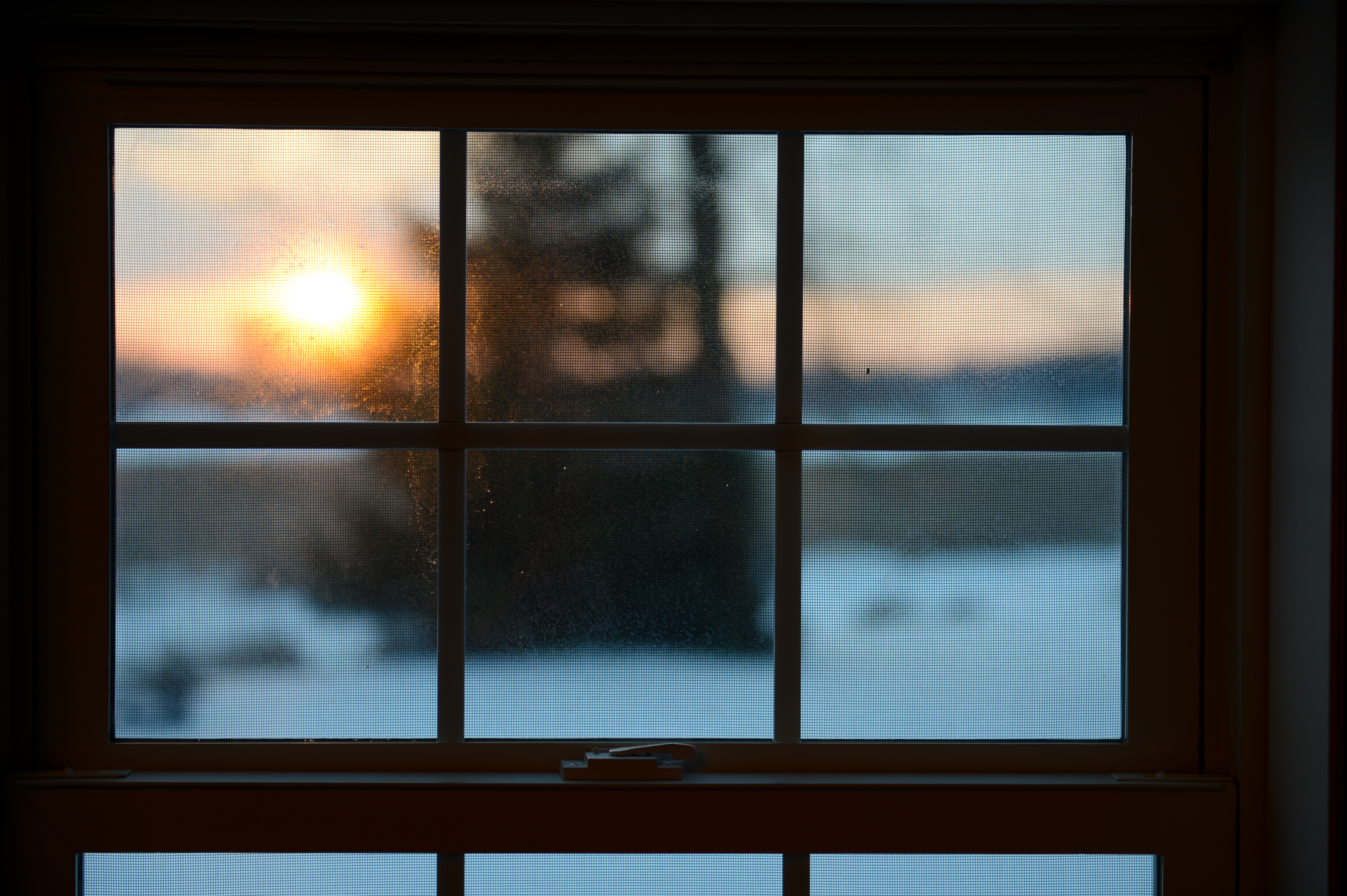 Sunset seen through a window with a screen, overlooking a snowy landscape with a tree in the distance.