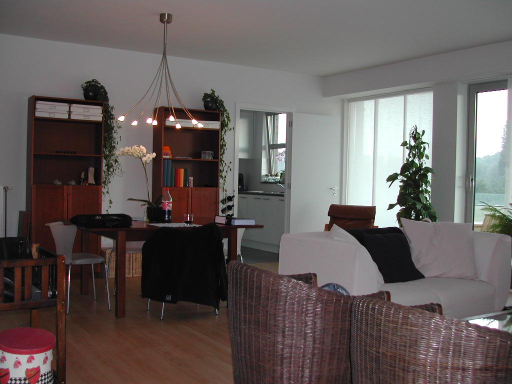 A living room with a white couch, dining table, bookshelves, and plants, taken two months after moving in.