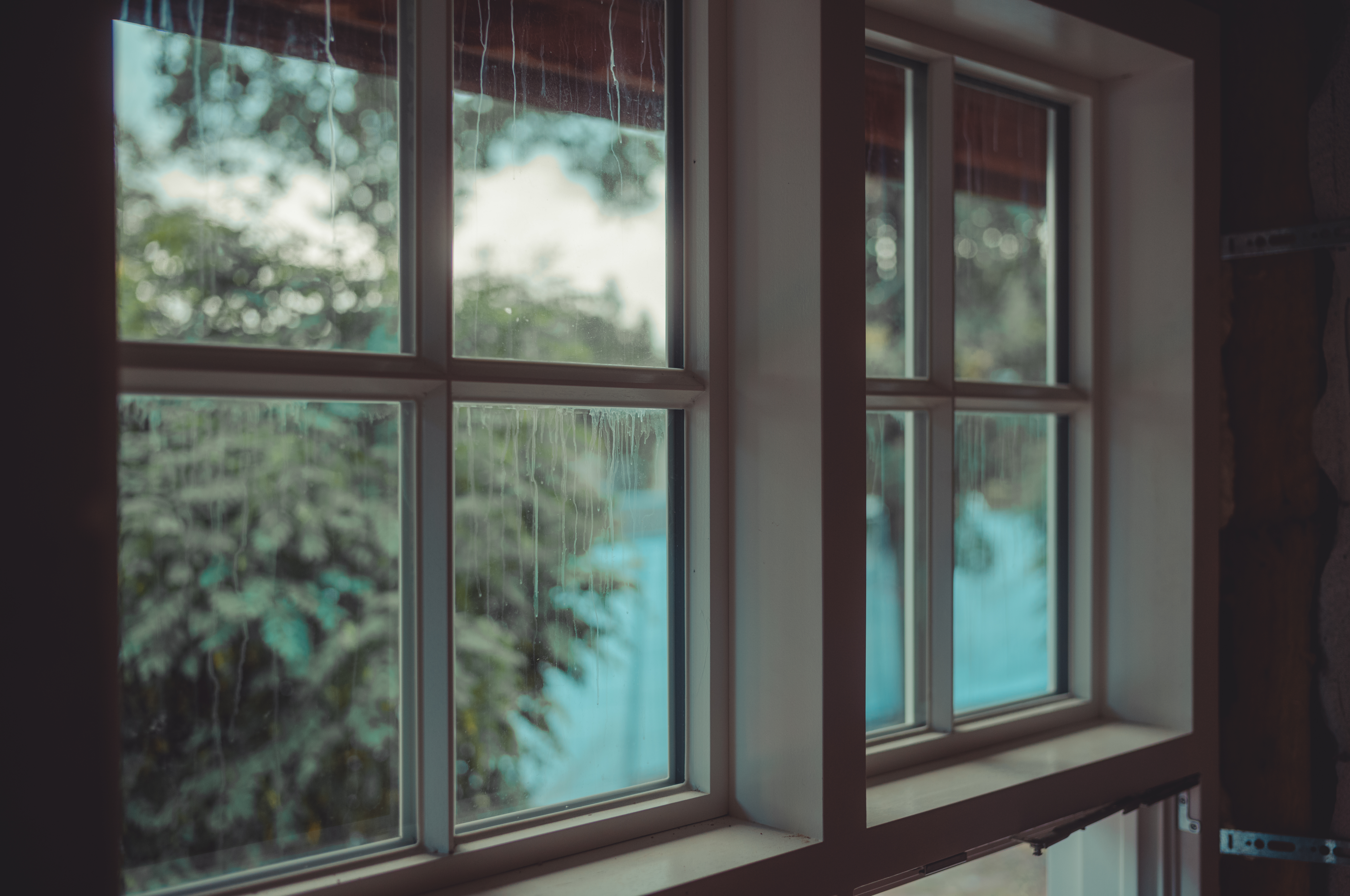 Newly installed windows with white frames show an outdoor view of trees and a blue fence.