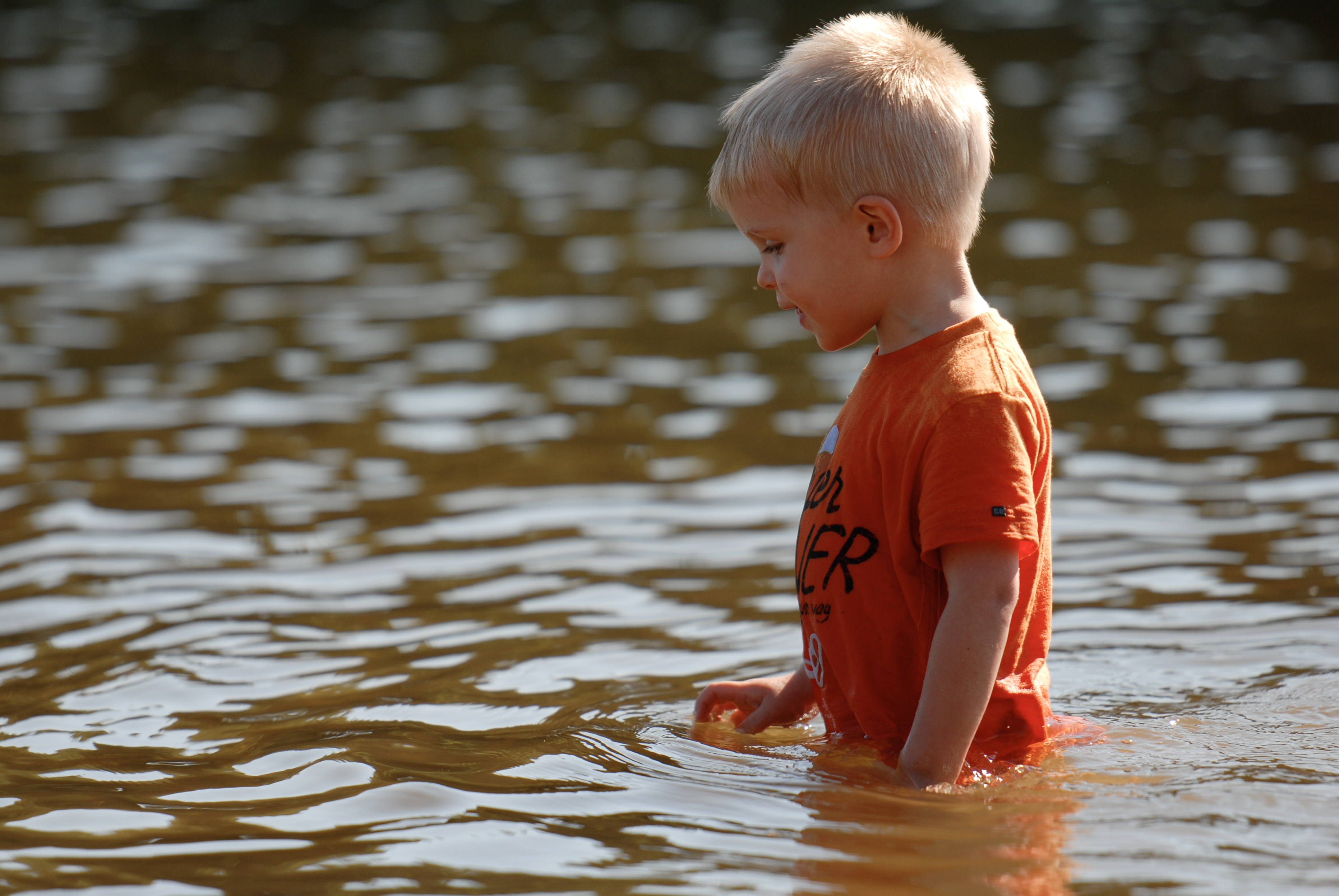 A young child in an orange shirt wades through shallow water, looking down with a focused expression.