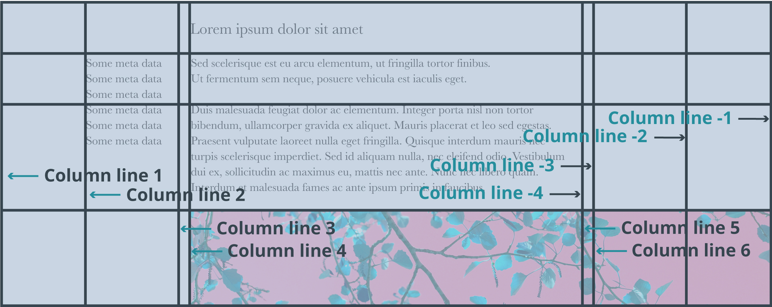 A CSS grid layout diagram showing column lines labeled with numbers and arrows indicating their positions.