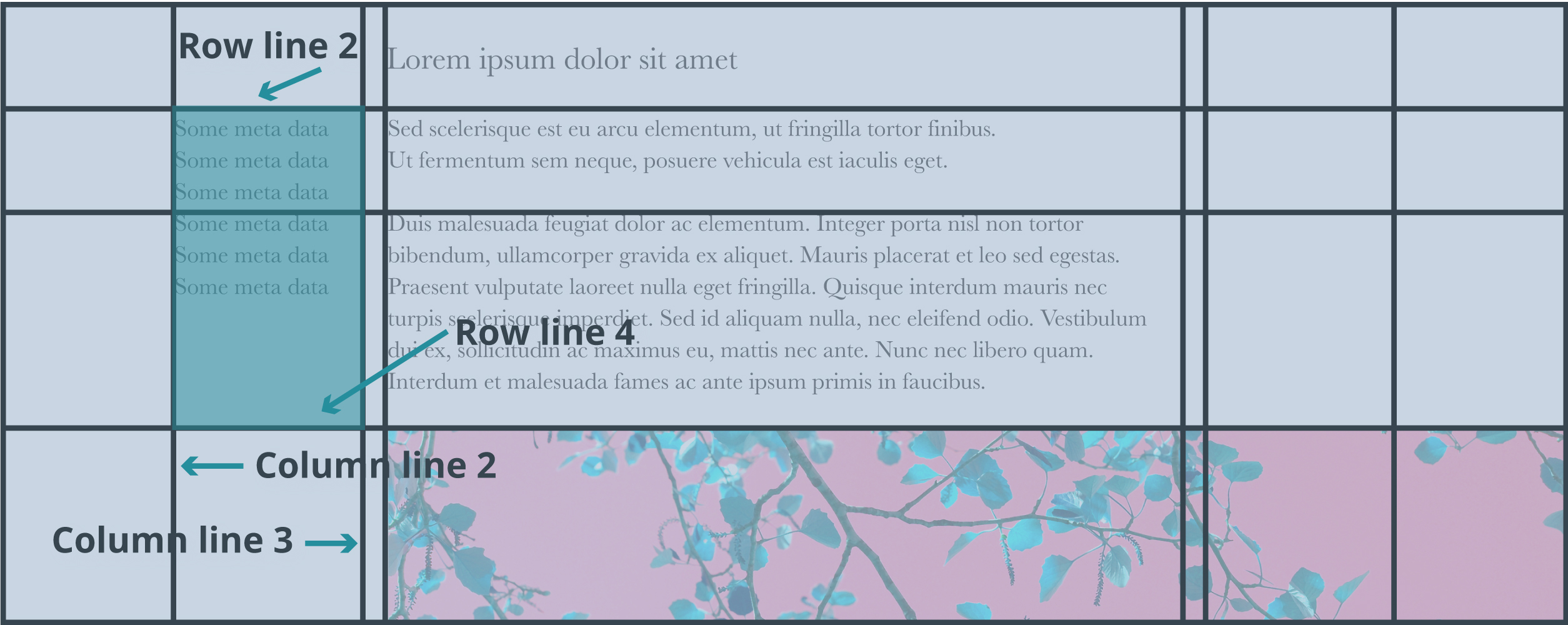 Diagram illustrating CSS Grid layout with labeled row and column lines, showing content placement within the grid structure.