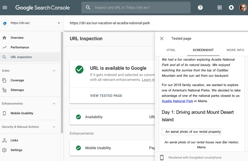 A screenshot that shows Googlebot doesn't render placeholder images that are embedded using data URLs