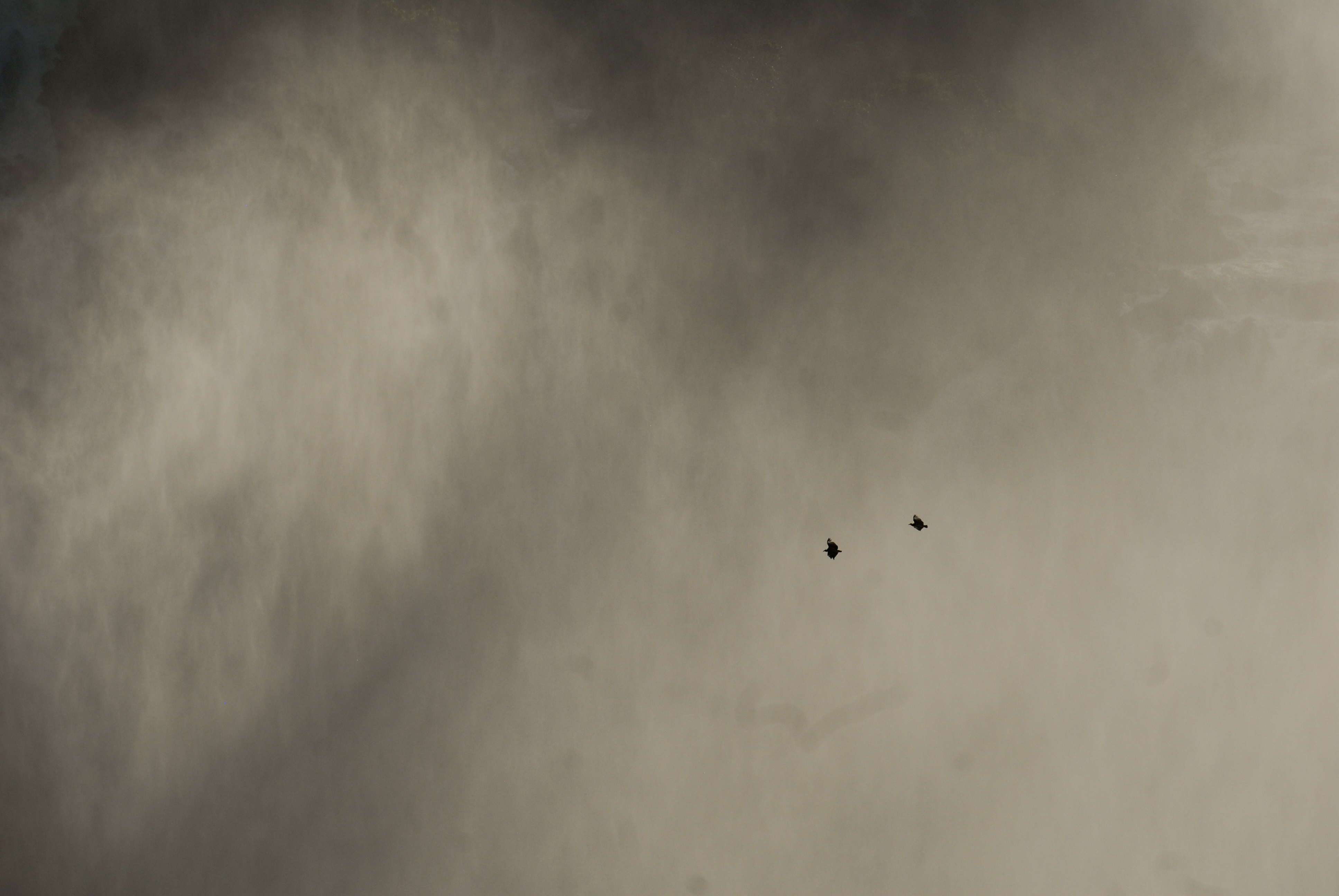 Two birds fly in front of the misty, powerful Iguazu Falls.