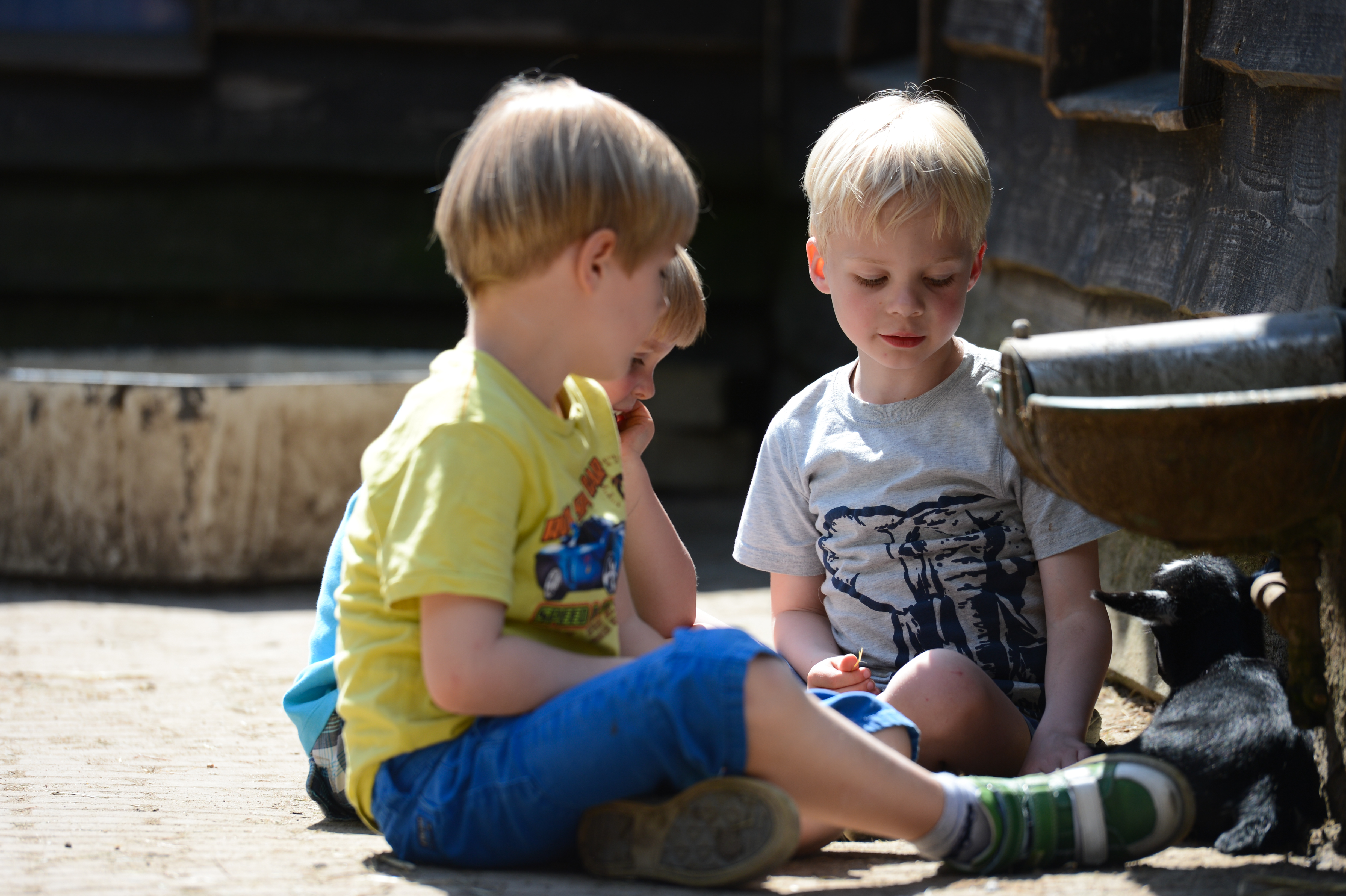 Three young children sit on the ground, interacting with a small black goat near a water trough.